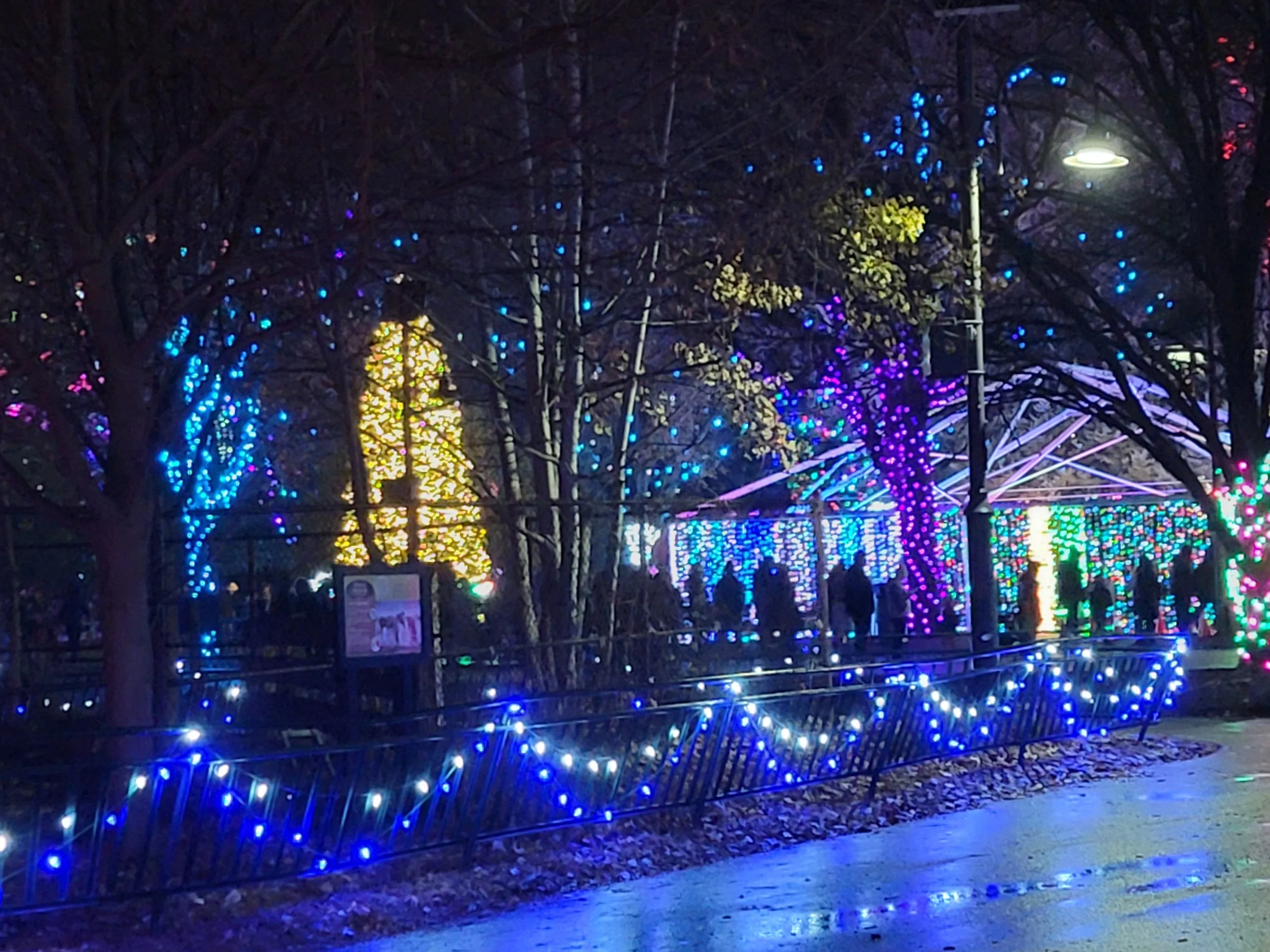 Christmas at the Zoo