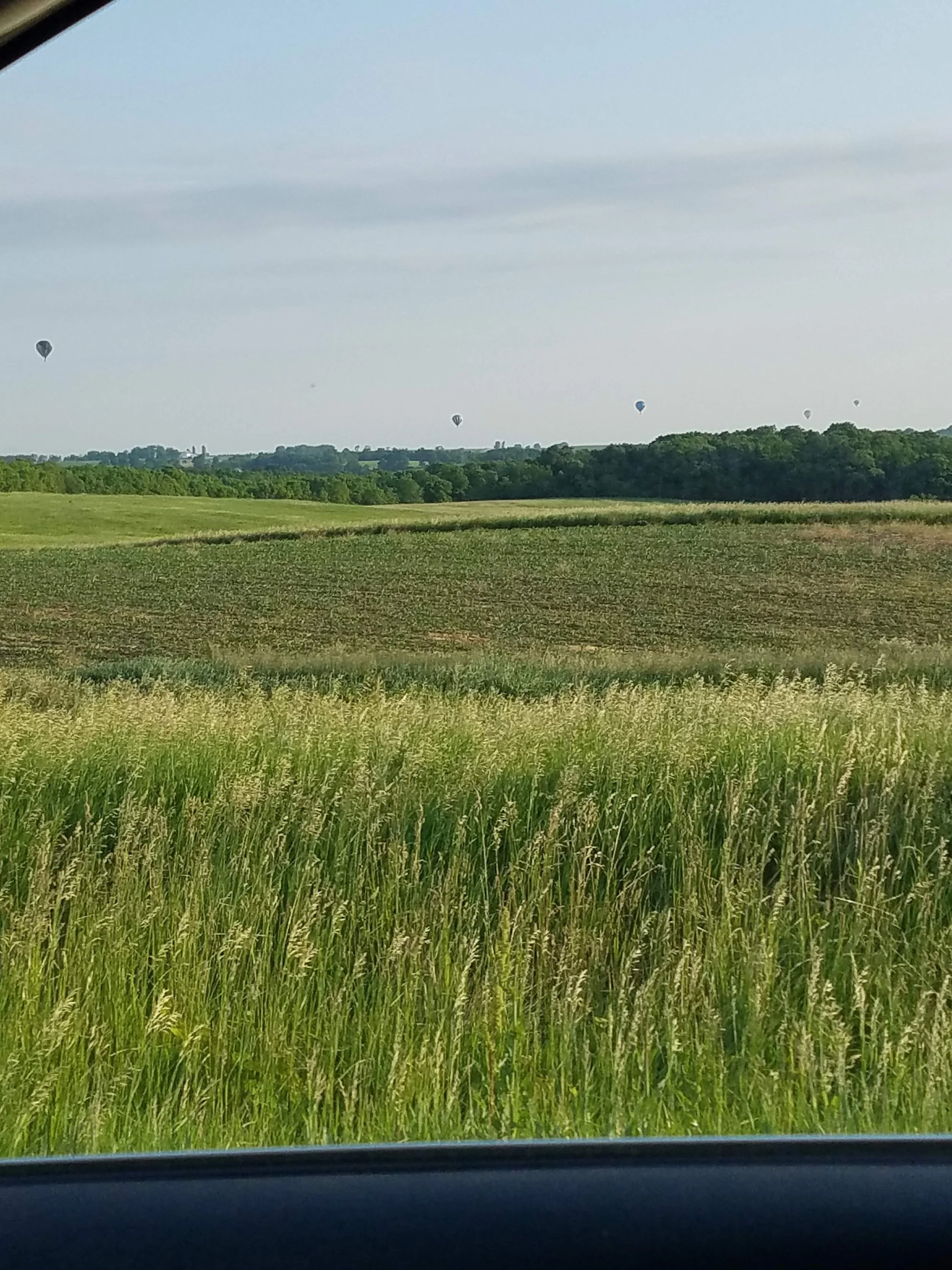 Checking out the balloons
