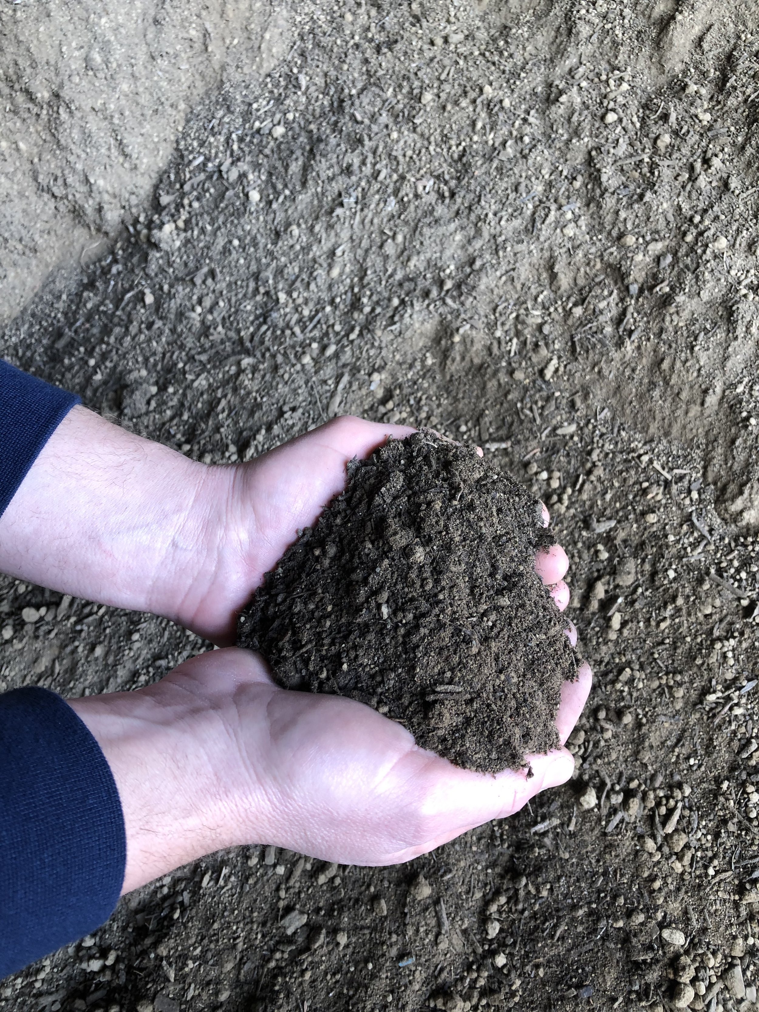 Garden Soil.jpg