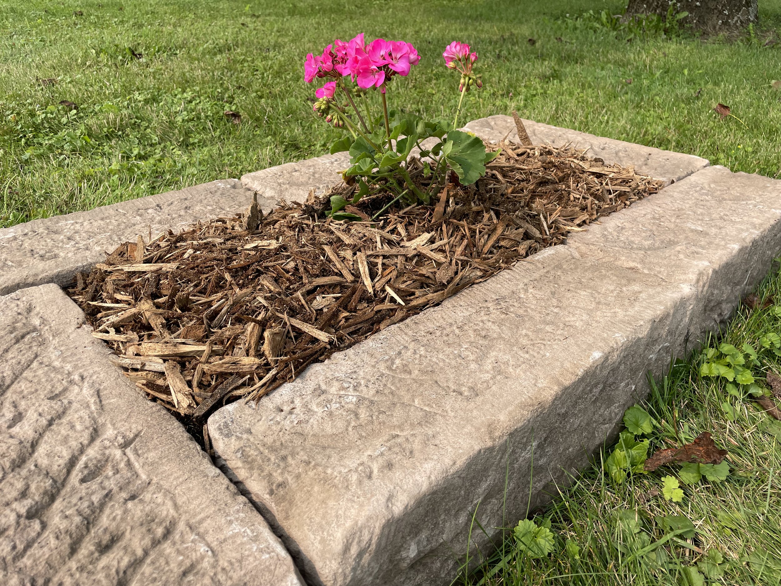 #4 Single Ground Mulch.jpg