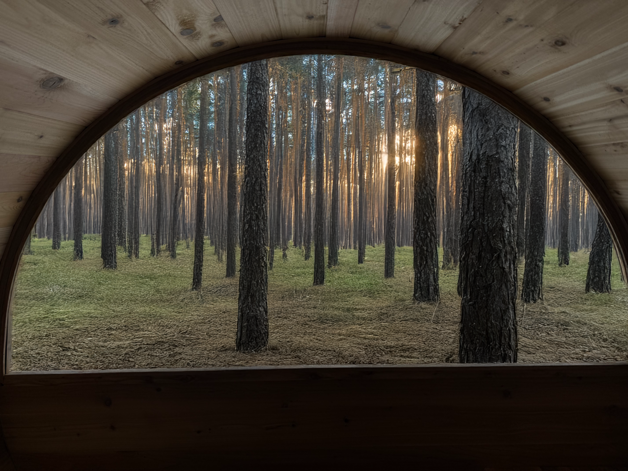 Barrel Sauna