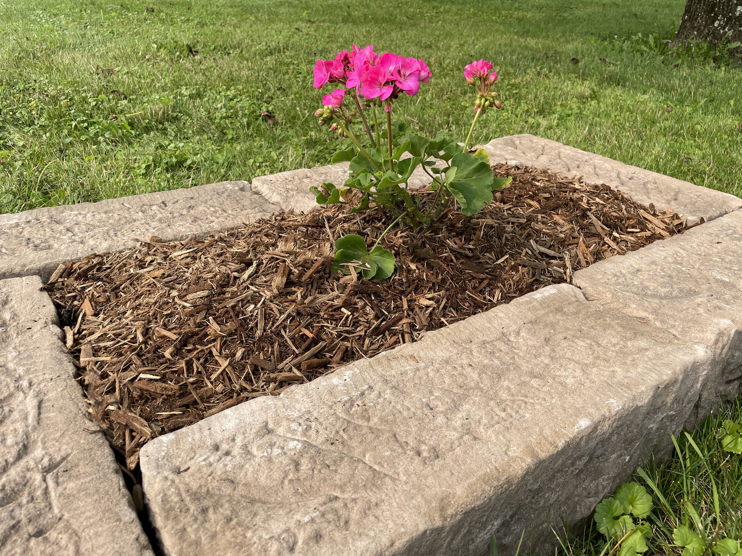 #3 Mulch.jpg