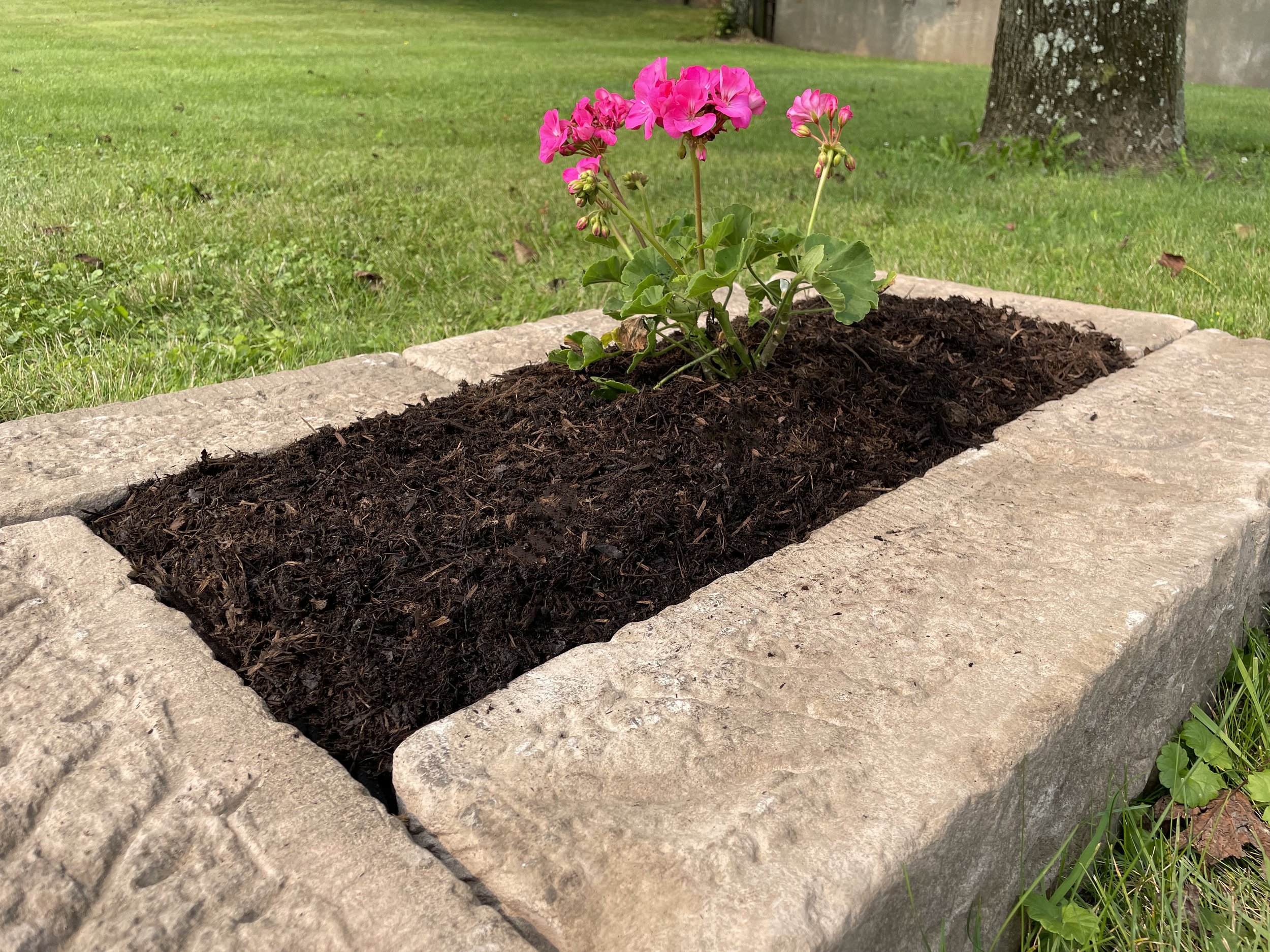 #2 Mulch.jpg