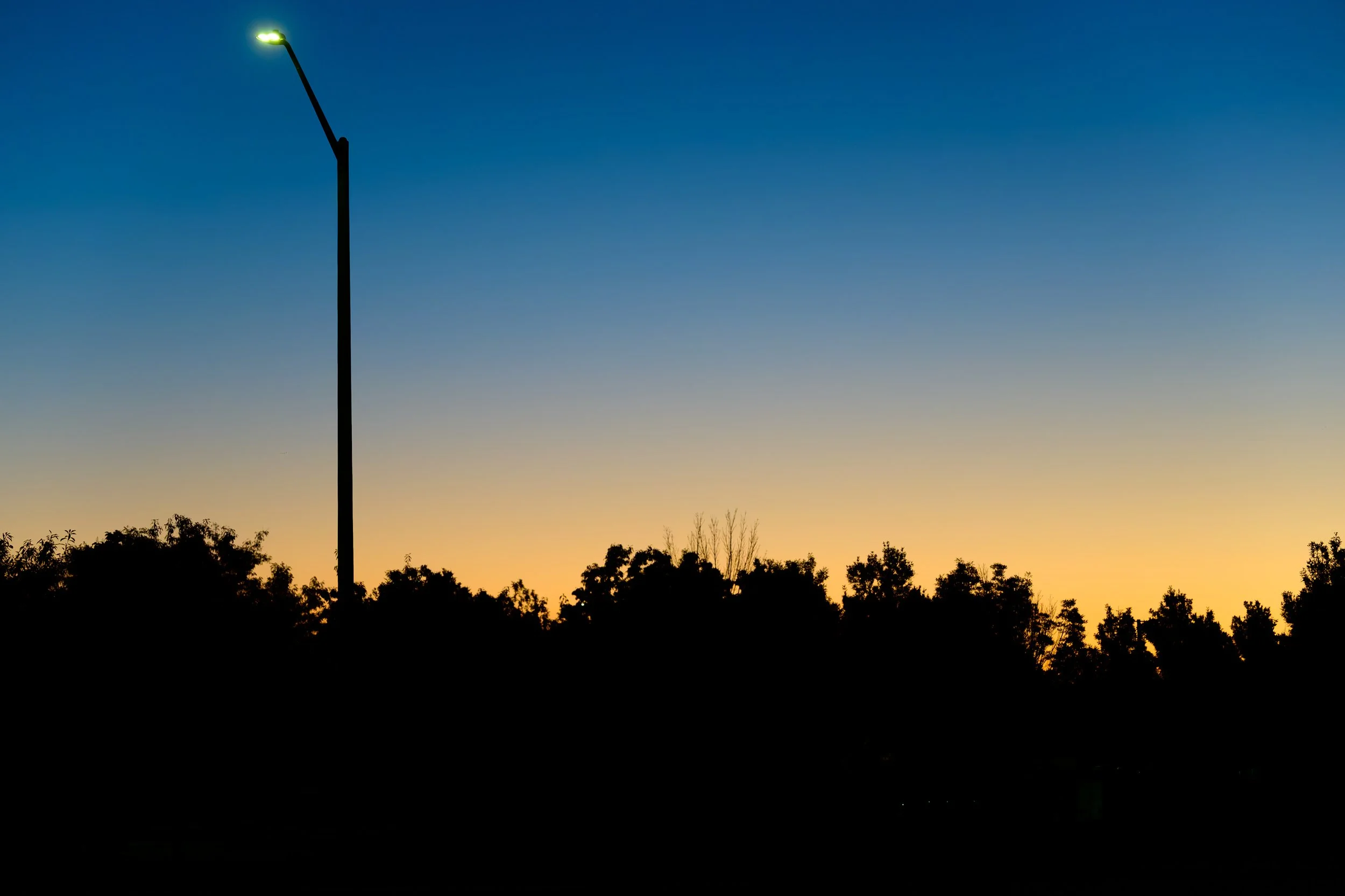 MT6_7166-Enhanced-NR.jpg