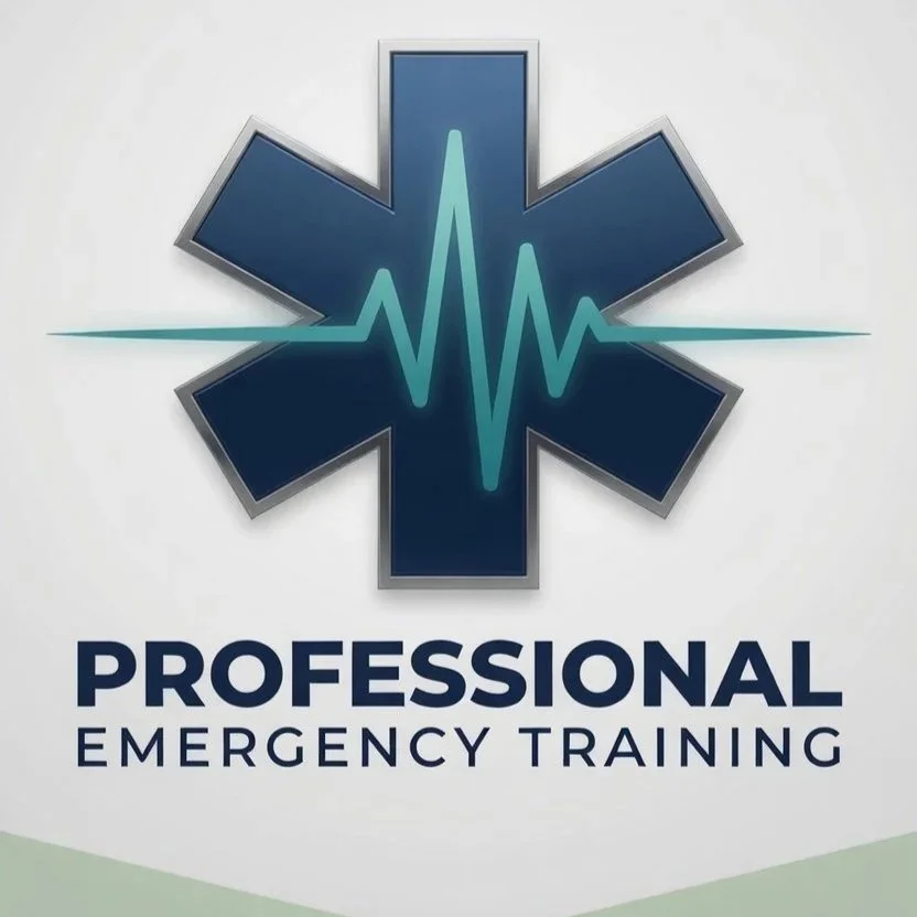 Logo with a blue six-pointed star of life symbol with an electrocardiogram line in the center, and the words "PROFESSIONAL EMERGENCY TRAINING" below.