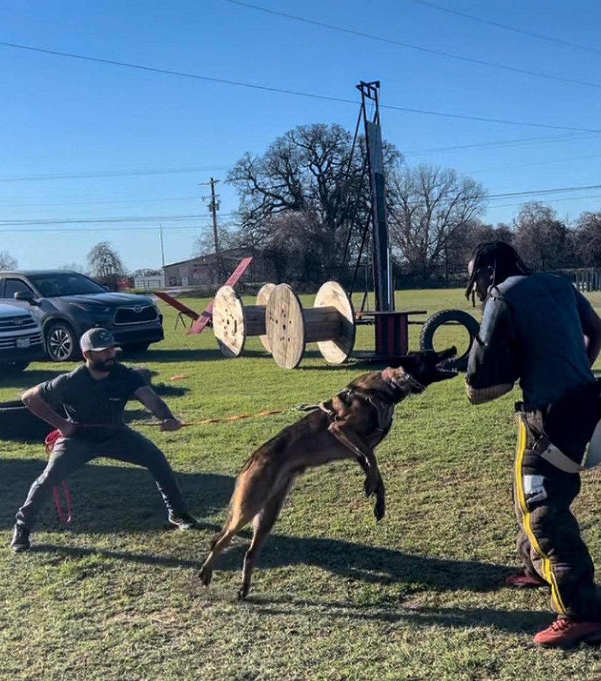 A man in protective gear and a dog engaging in a bite exercise during dog training, with another person holding a leash nearby, on a grassy field with a roller coaster structure and parked cars in the background.