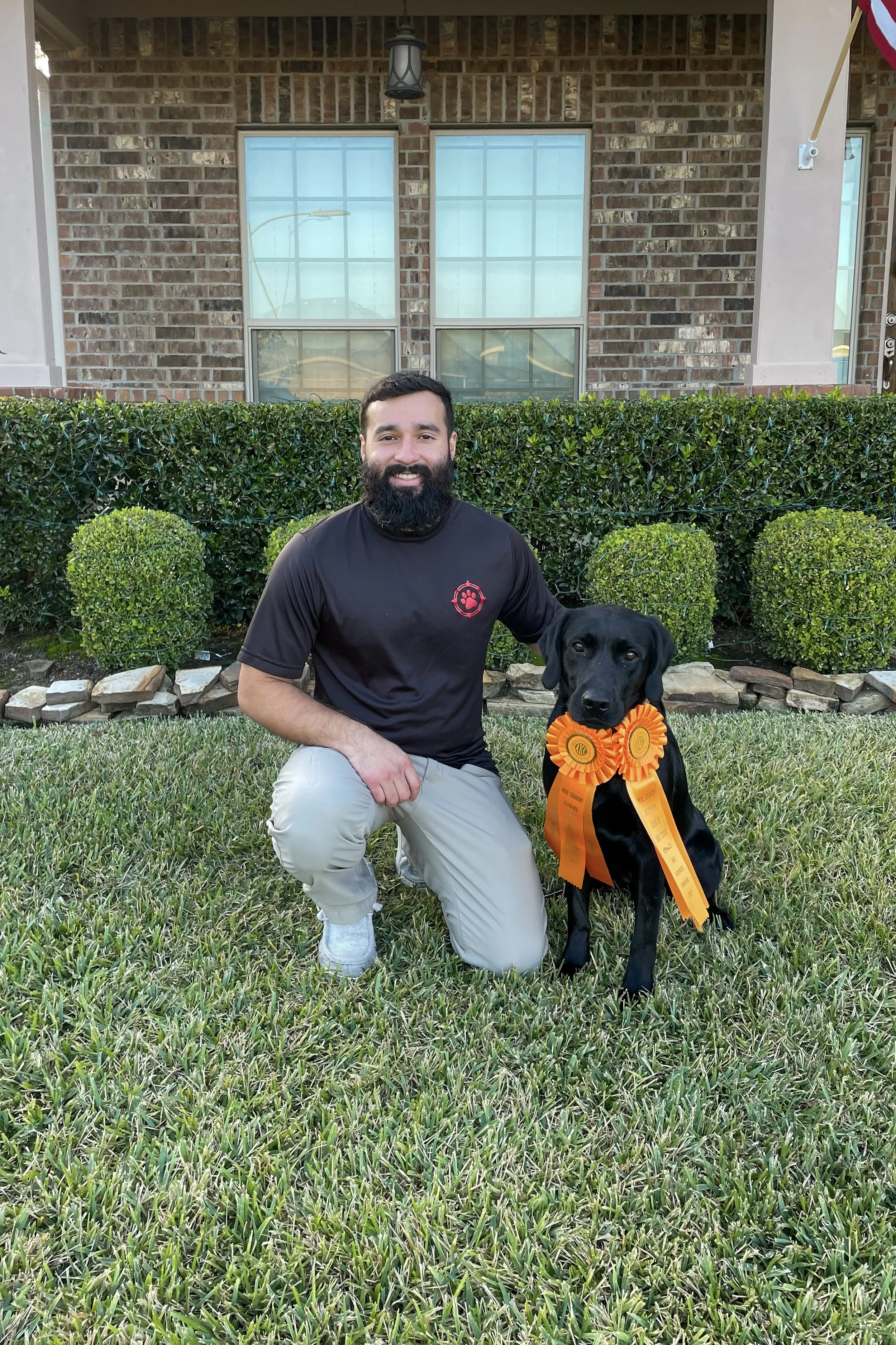 A man with a beard kneeling on grass next to a black Labrador Retriever wearing orange ribbons and rosettes, outside a brick house with two windows and green bushes.