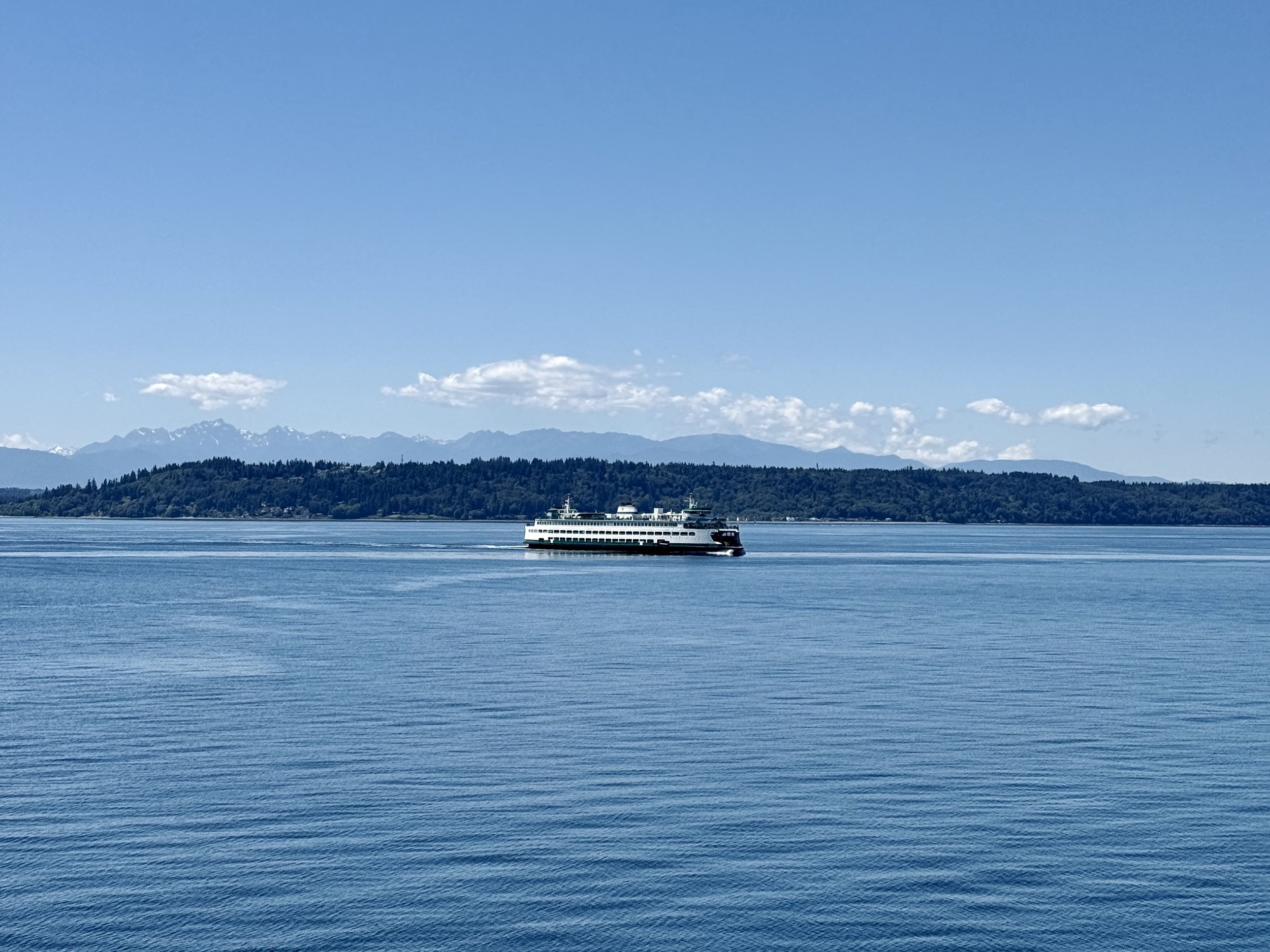 Sketchbook: Ferry Rides, Beach Reads, and the Art of Summer