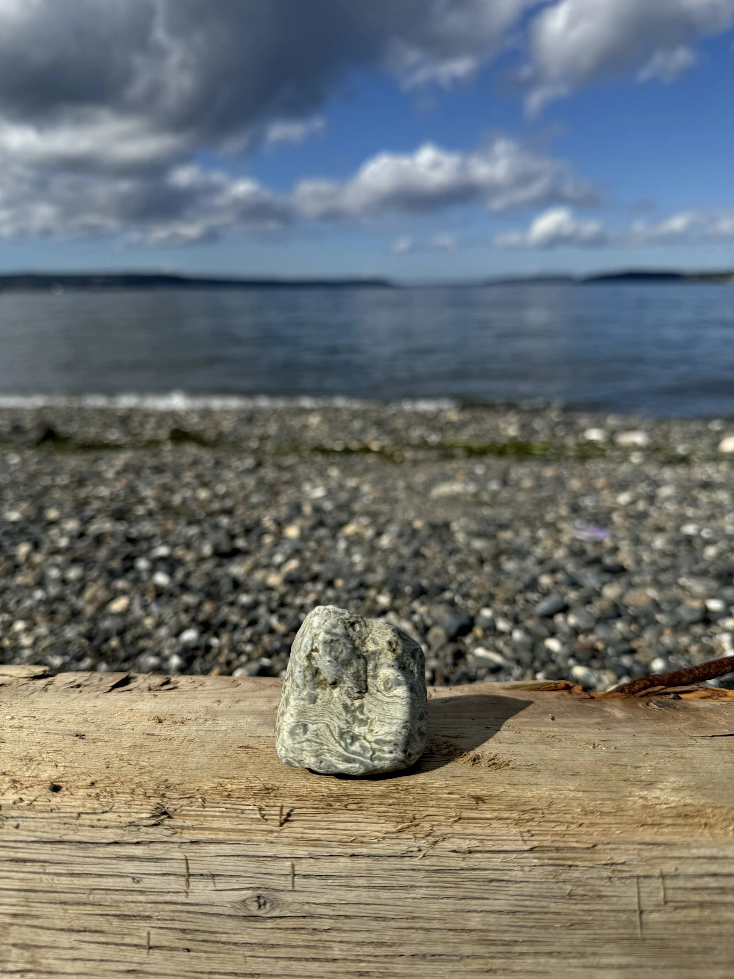 Rock patterns at Edgewater Beach in Washington.