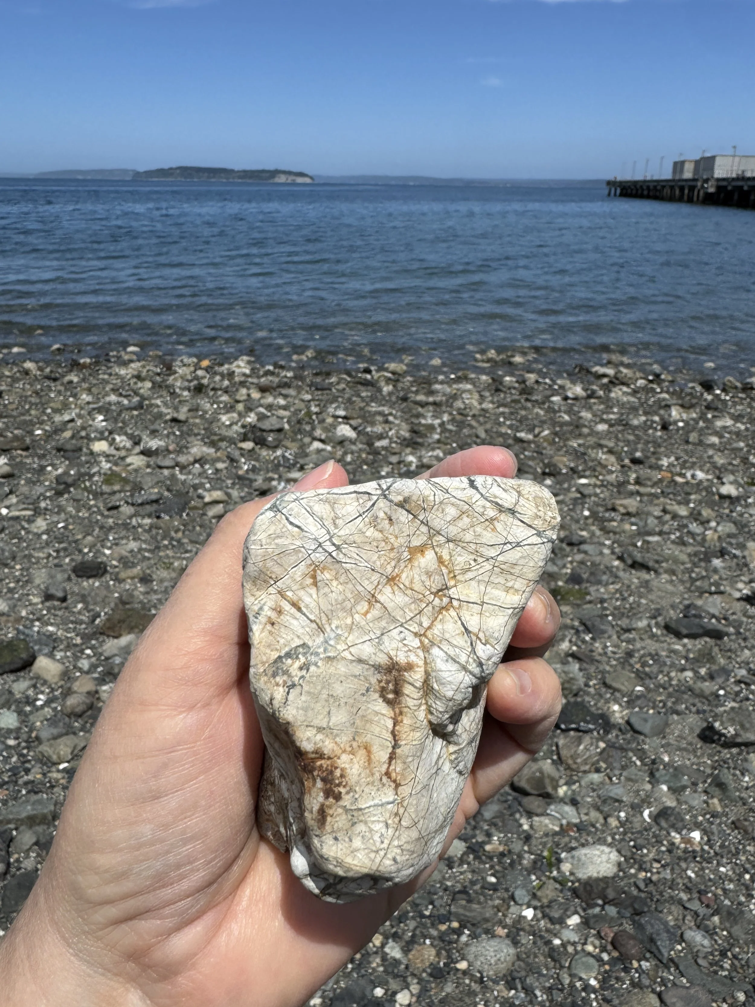 Beachcombing at Edgewater Beach in Mukilteo, Washington. Lines and patterns of a large rock.