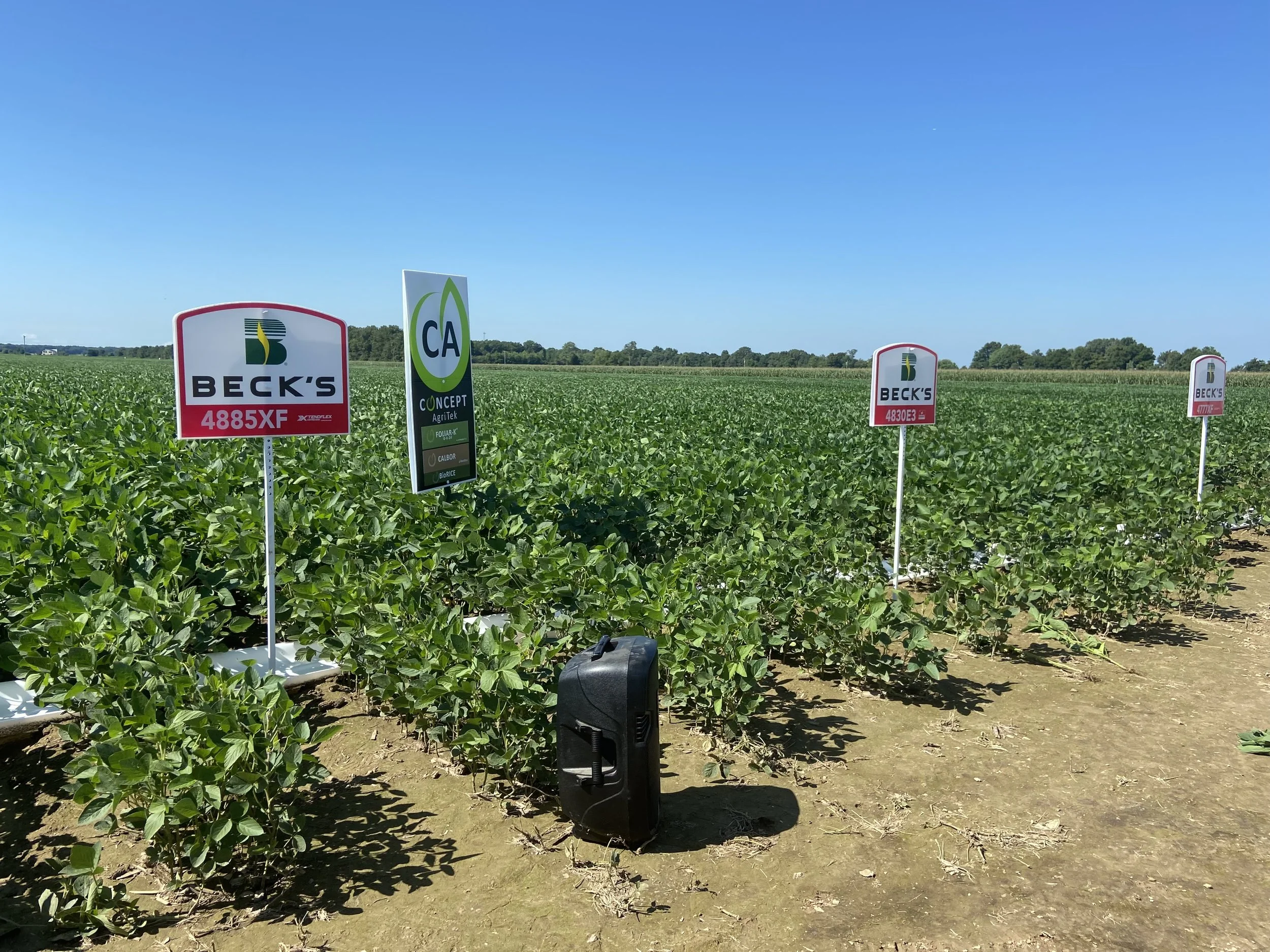 Agricultural field with several crop variety signs, including Beck's, CA Concept, and others, under a clear blue sky.