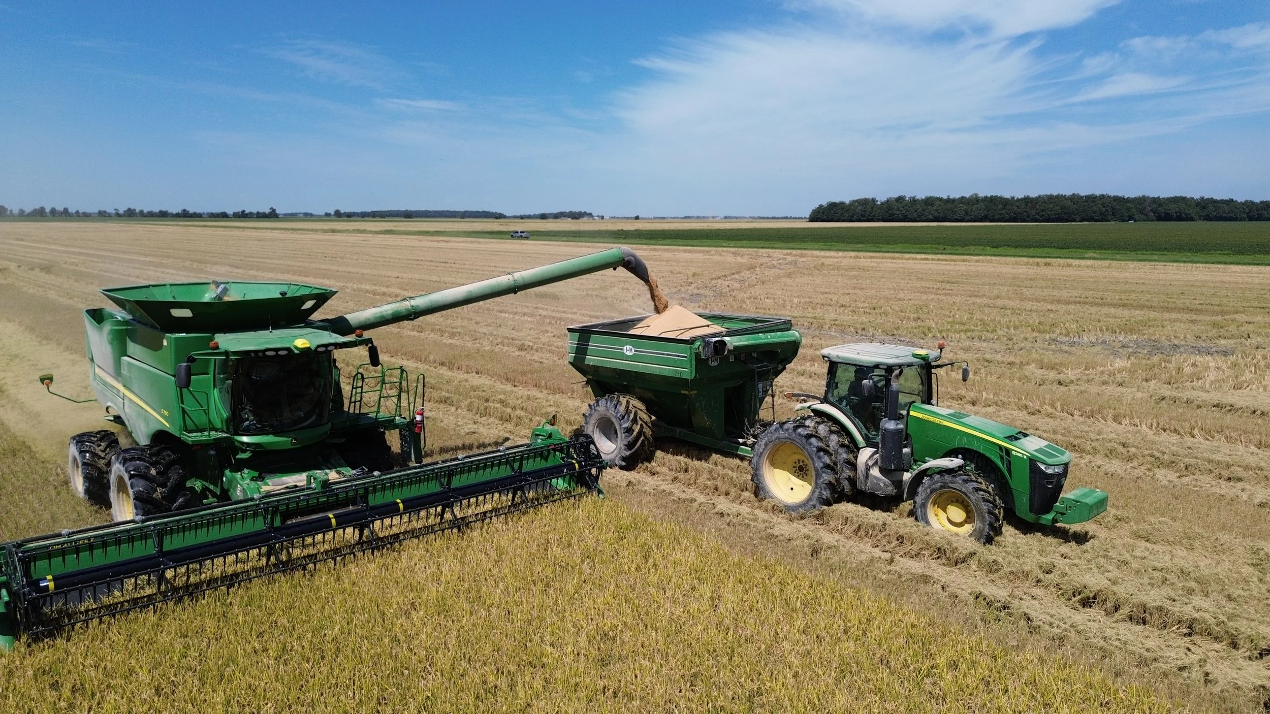 Green harvesting combine and tractor working together in a vast farmland with a blue sky and scattered clouds, harvesting a crop.