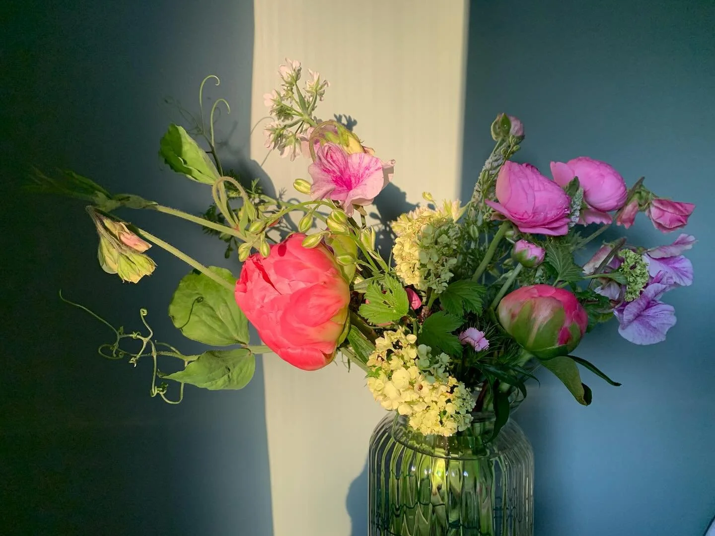 Early morning arrangement for @blackburnridgenz. Looks like it&rsquo;ll be an absolute stunner up there today ☀️🥾

#chb #chblocal #chbflowers #flowerfarmernz #grownnotflown #hawkesbayflowers