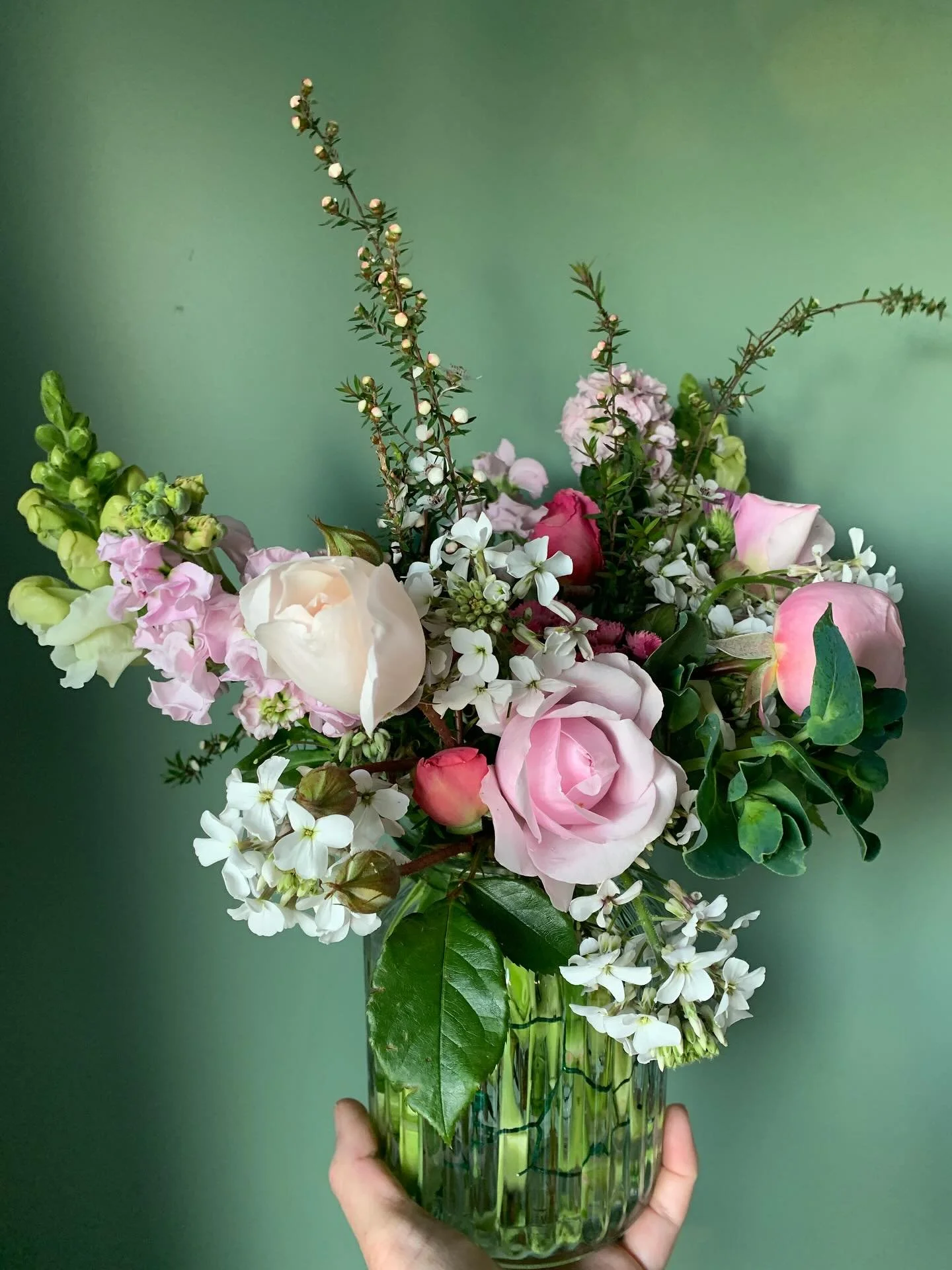 Rose, Stock and Sweet William have this arrangement smelling 👌💕🐽🙌

#chb #chblocal #flowerfarmernz #grownnotflown🌱 #chbflowers #hawkesbayflowers