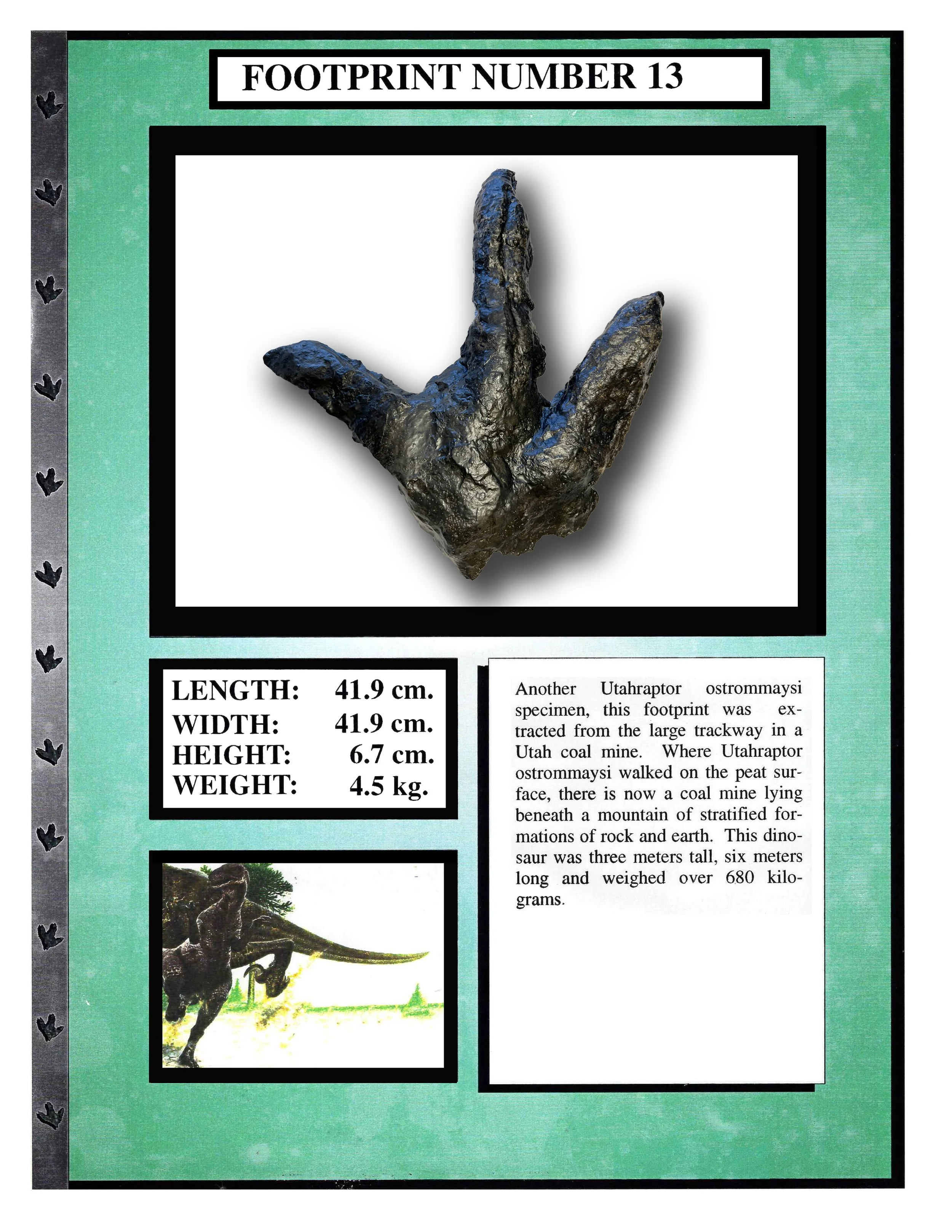 Utahraptor #13