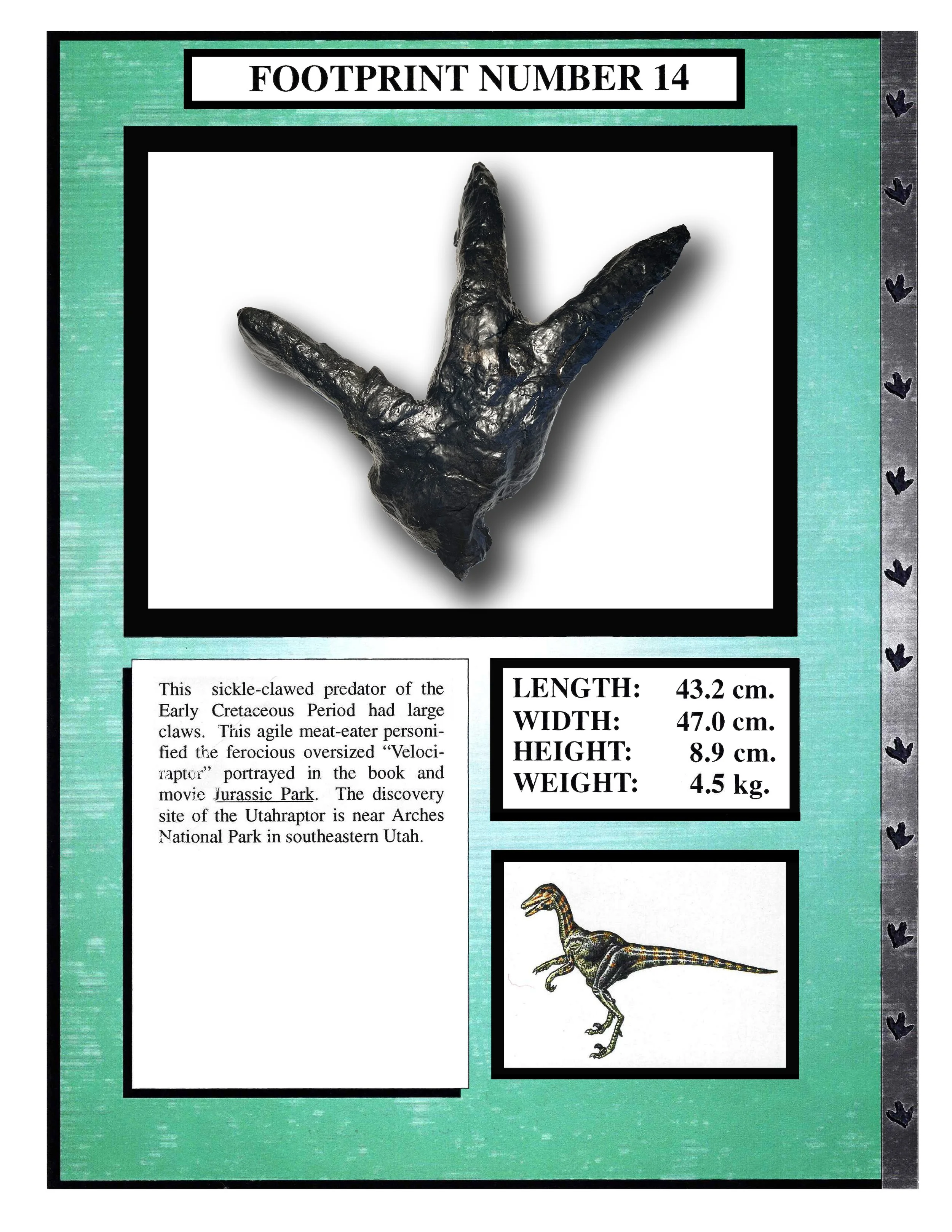 Utahraptor #14