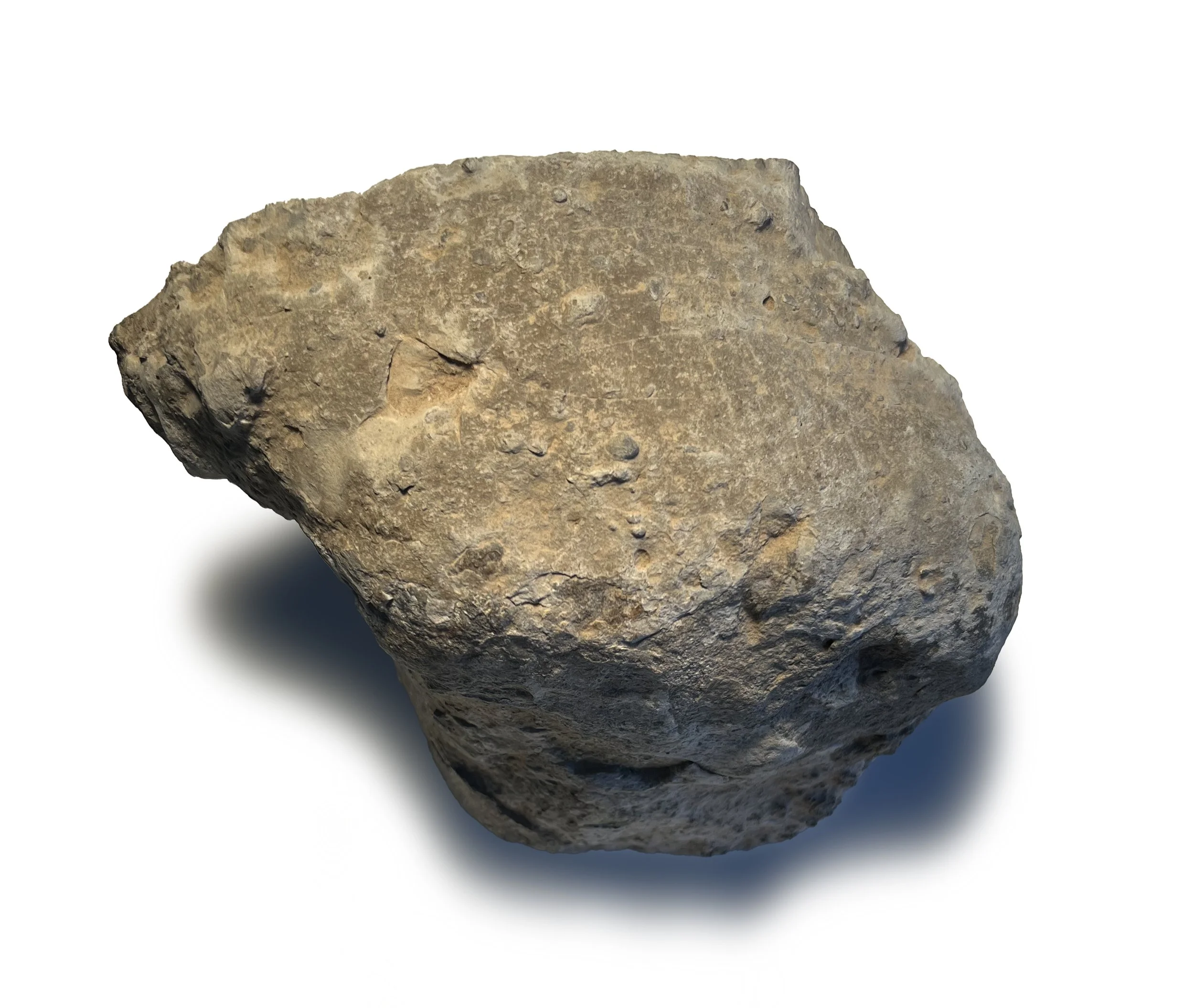 Bone #1