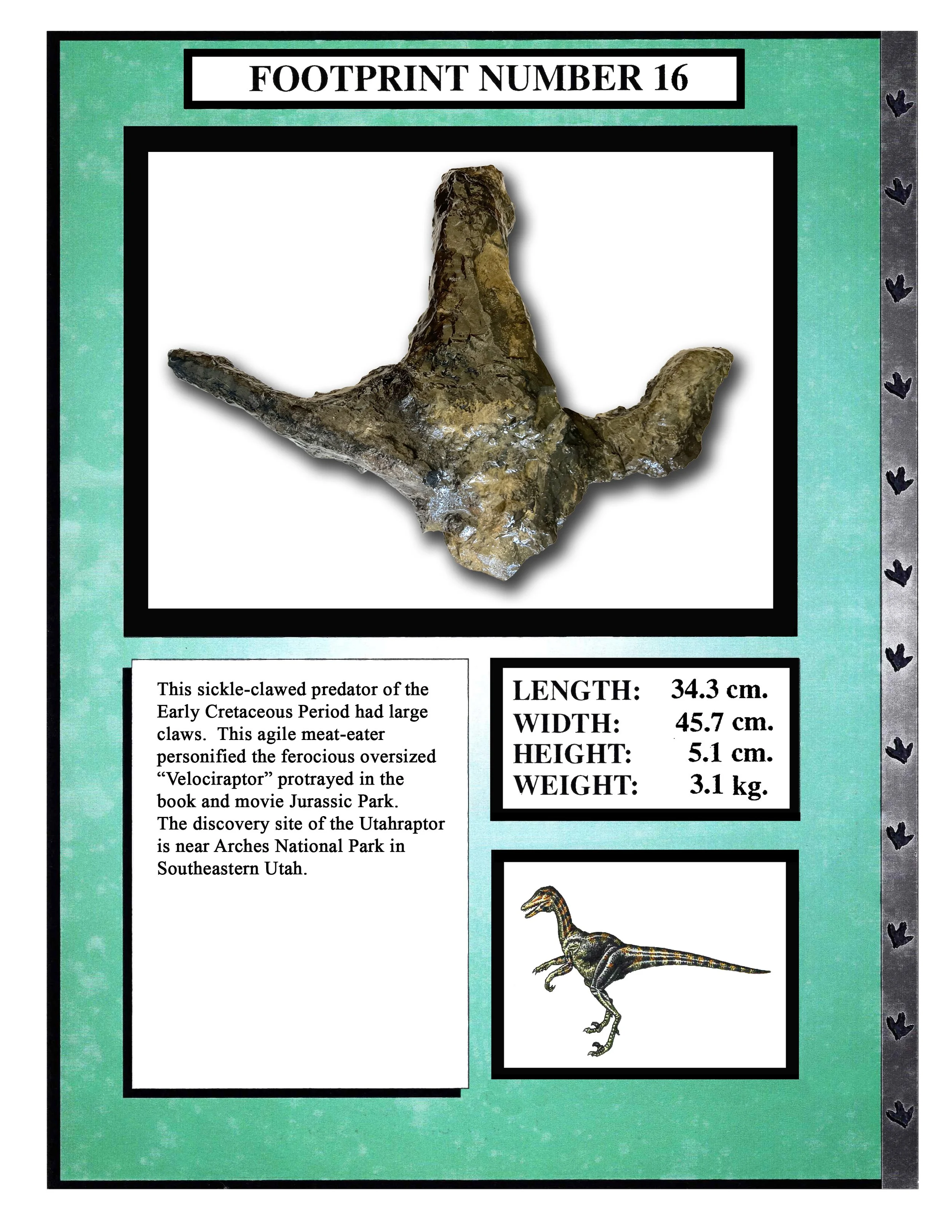 Utahraptor #16