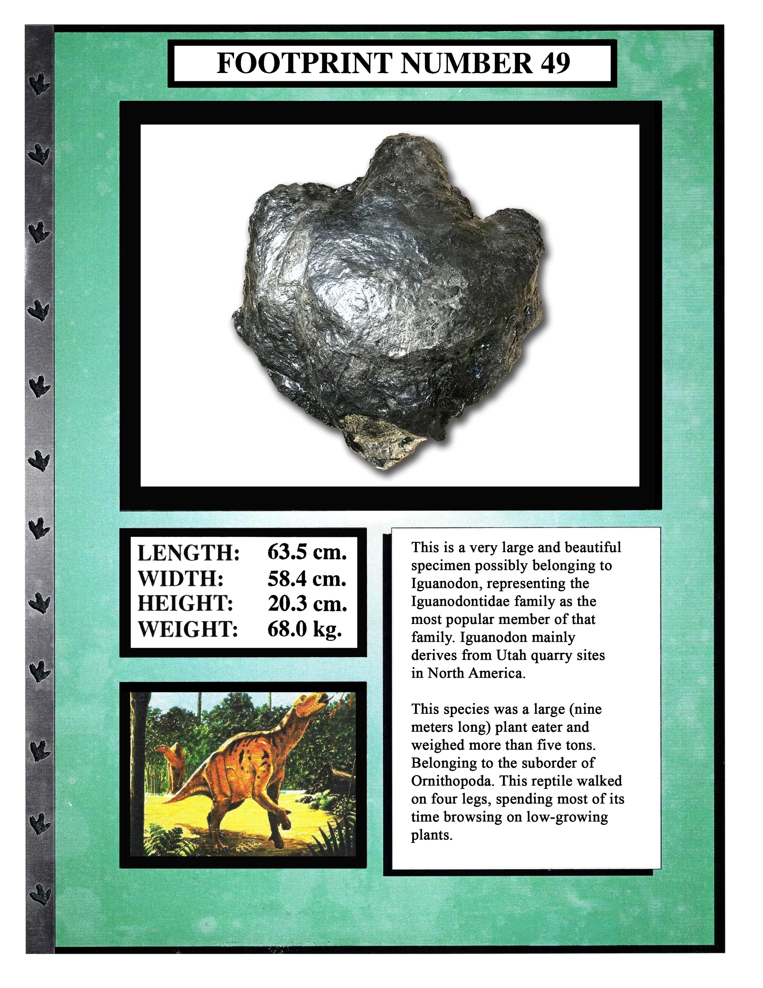 iguanodon #49