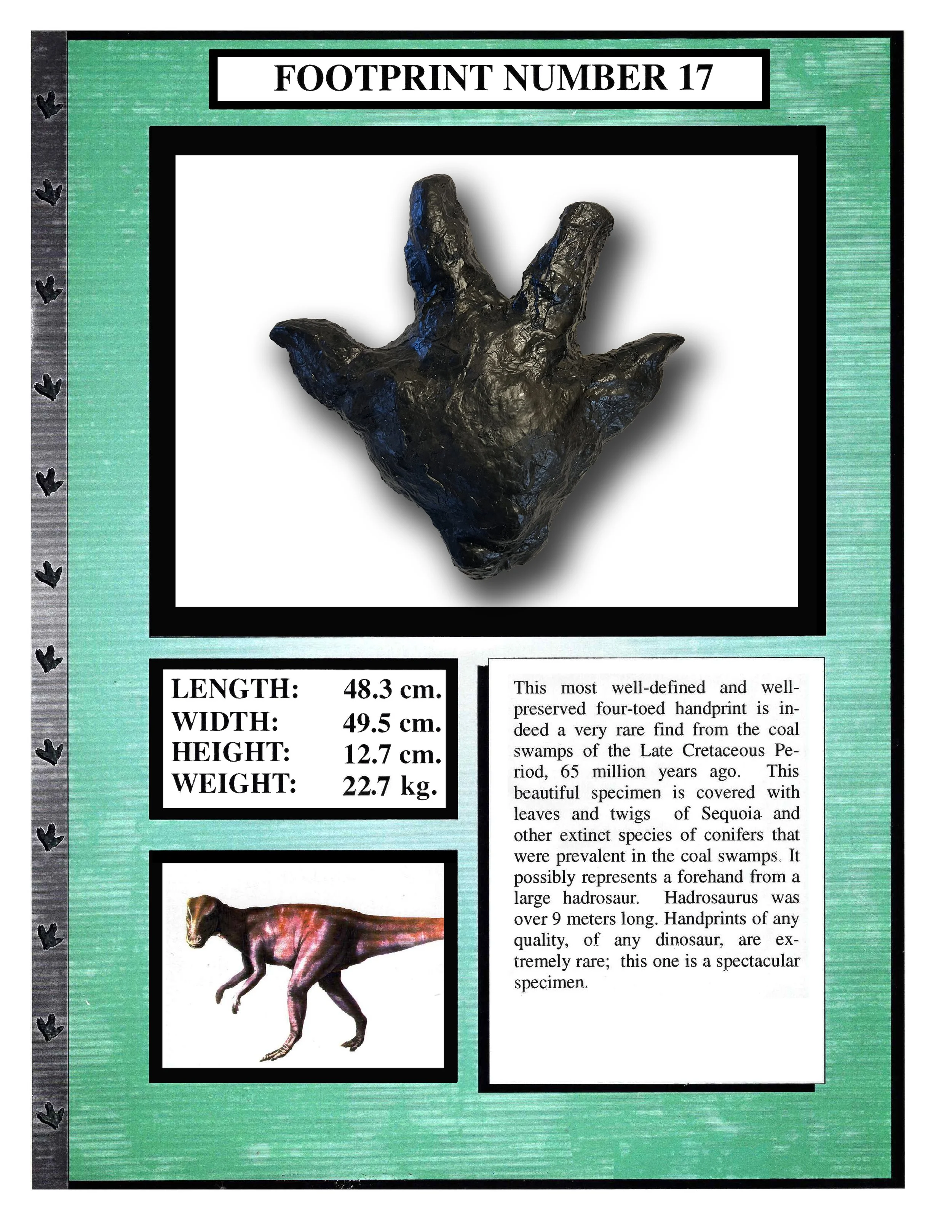 Harosaurus #17