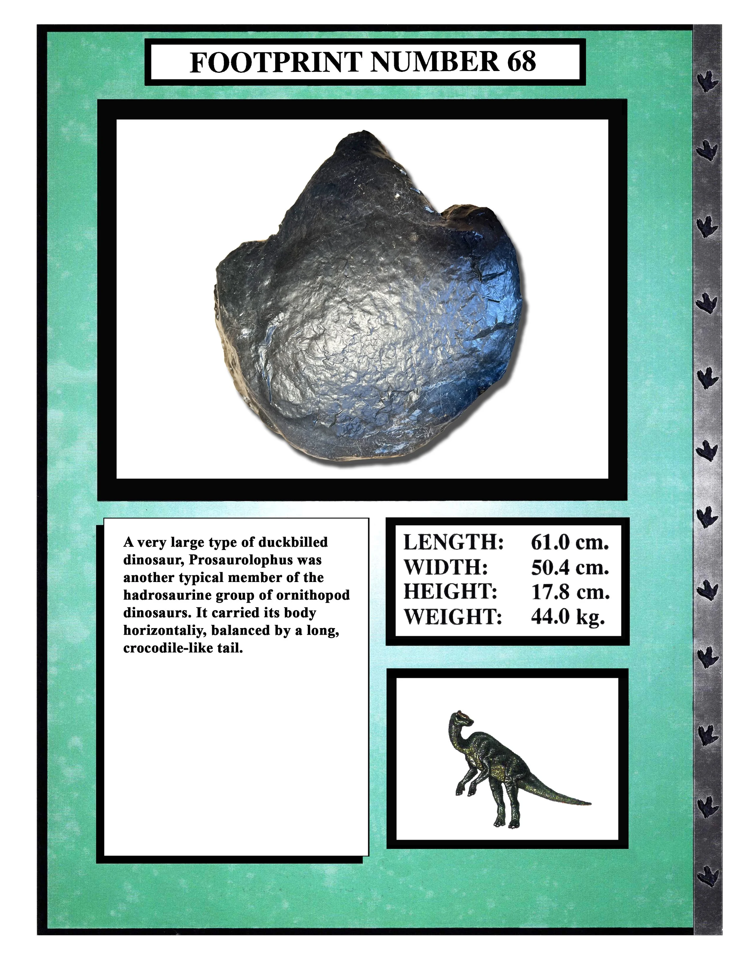 Prosaurolophus #68