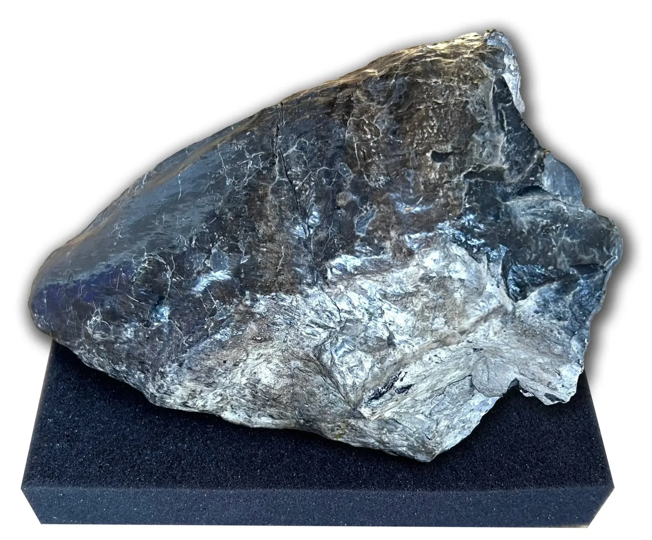 Hadrosaurus Toe