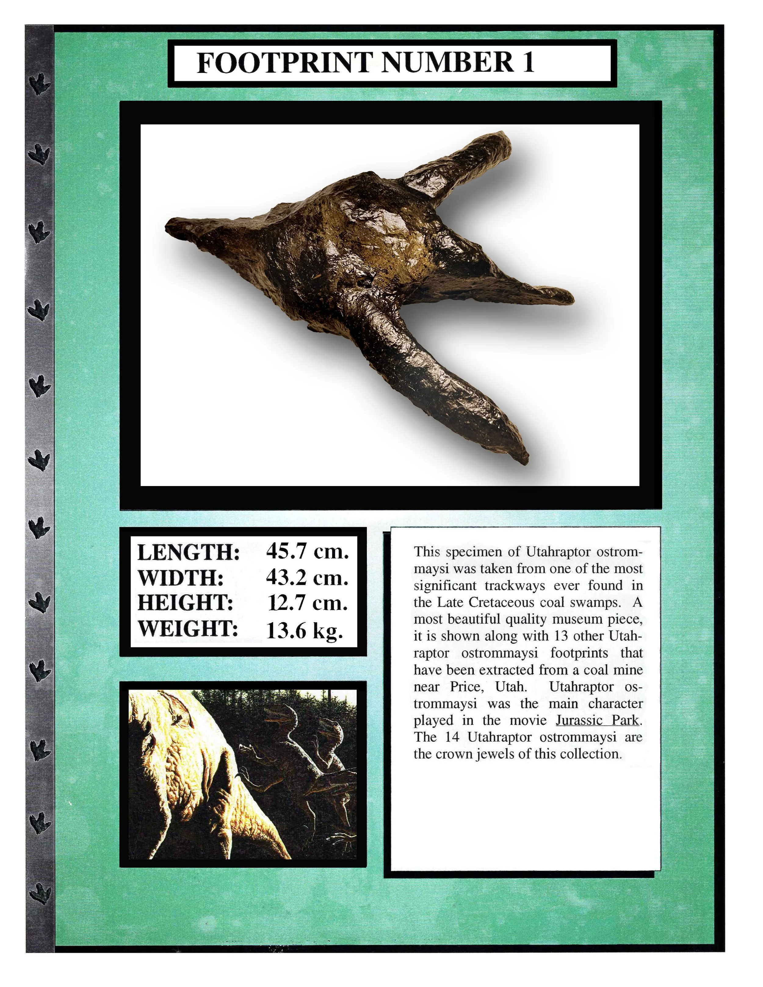 Utahraptor #1