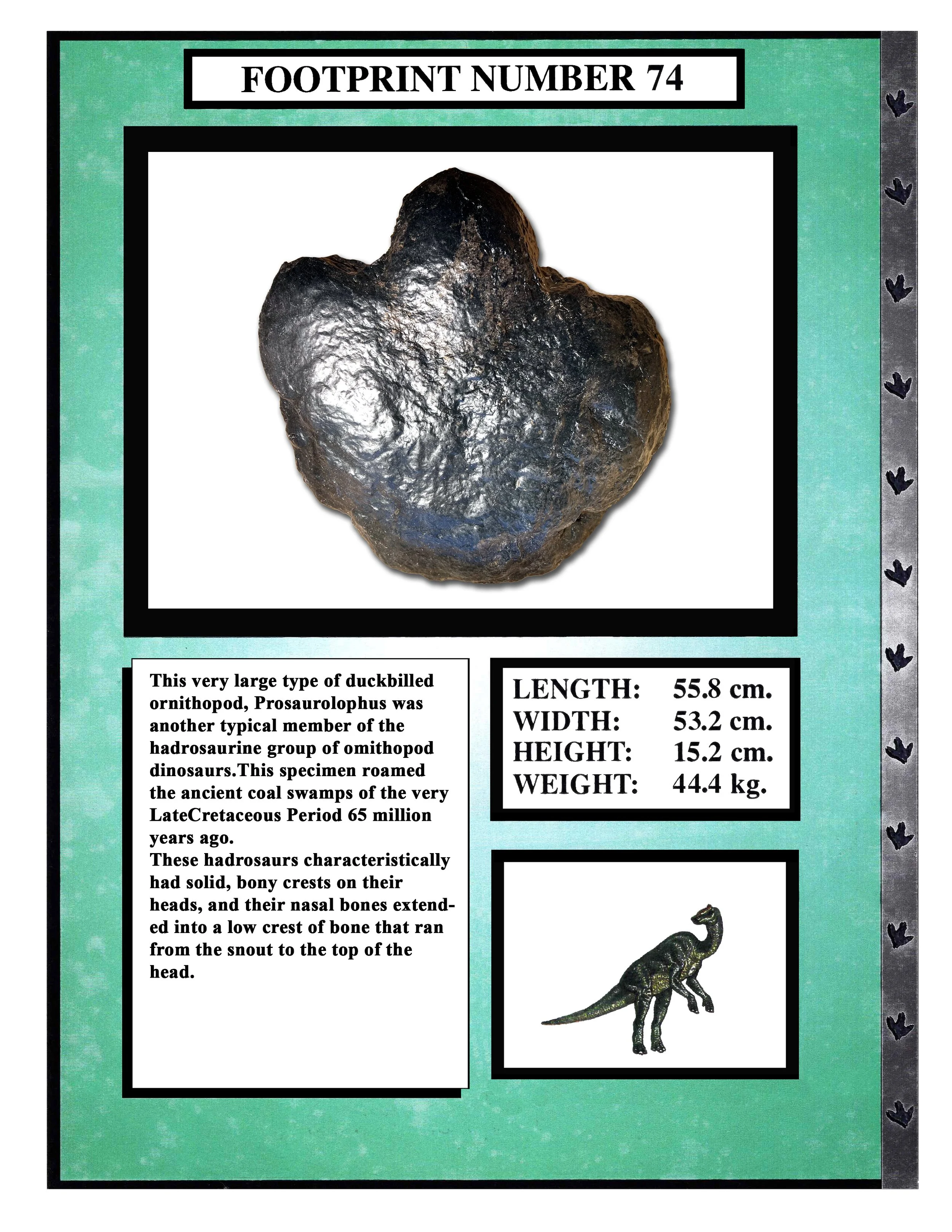 Prosaurolophus #74