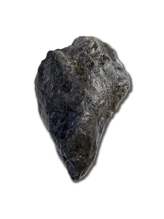Albertosaurs Digit #1