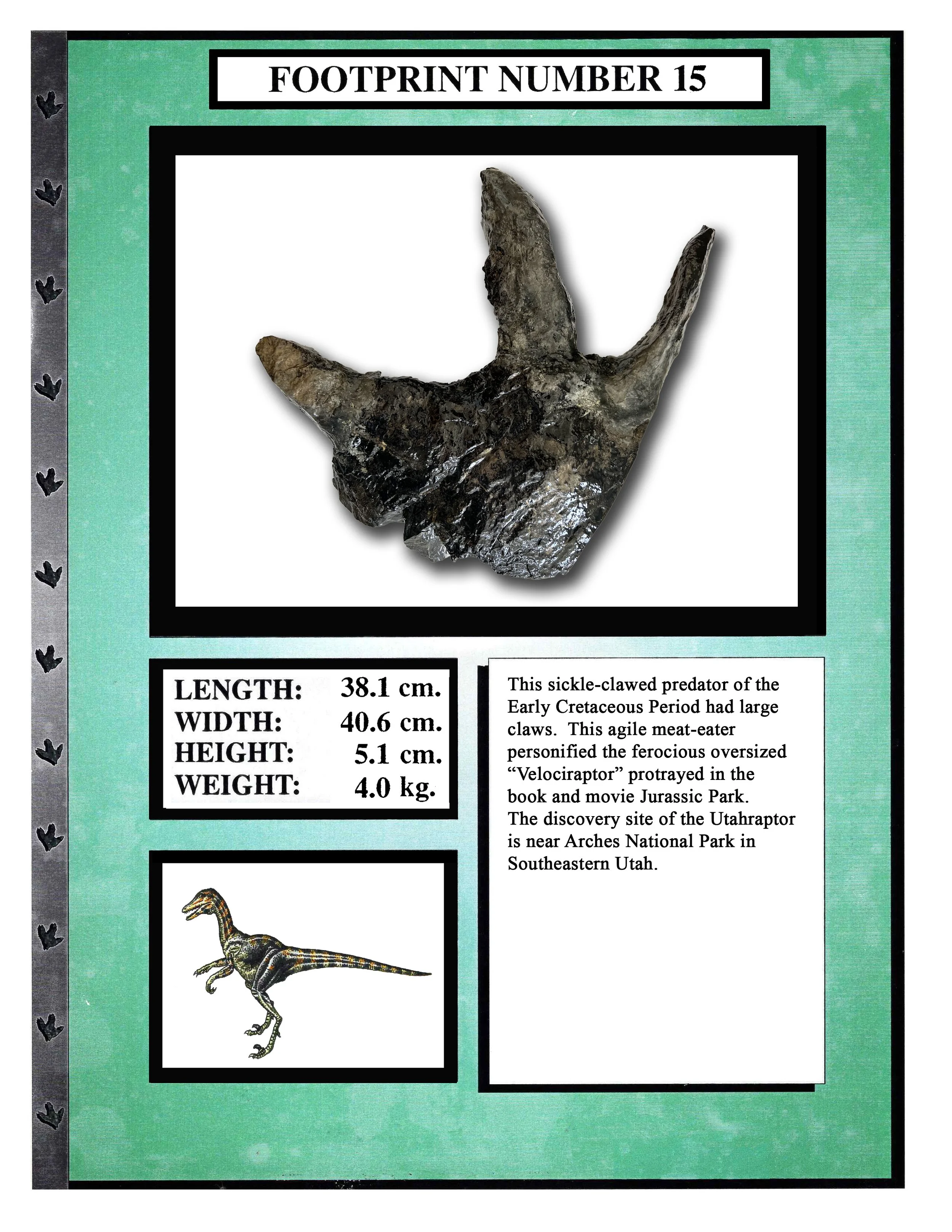 Utahraptor #15
