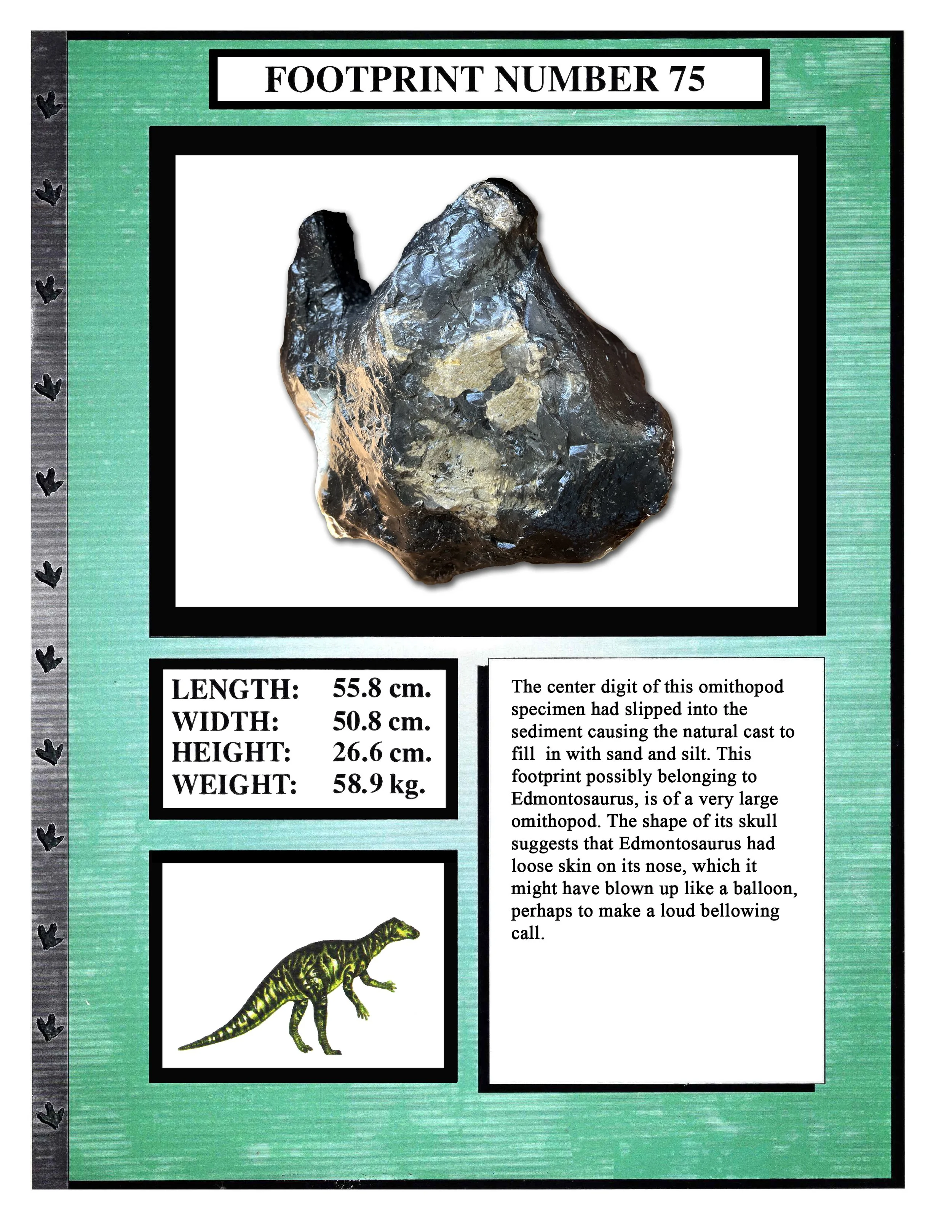 Edmontosaurus #75