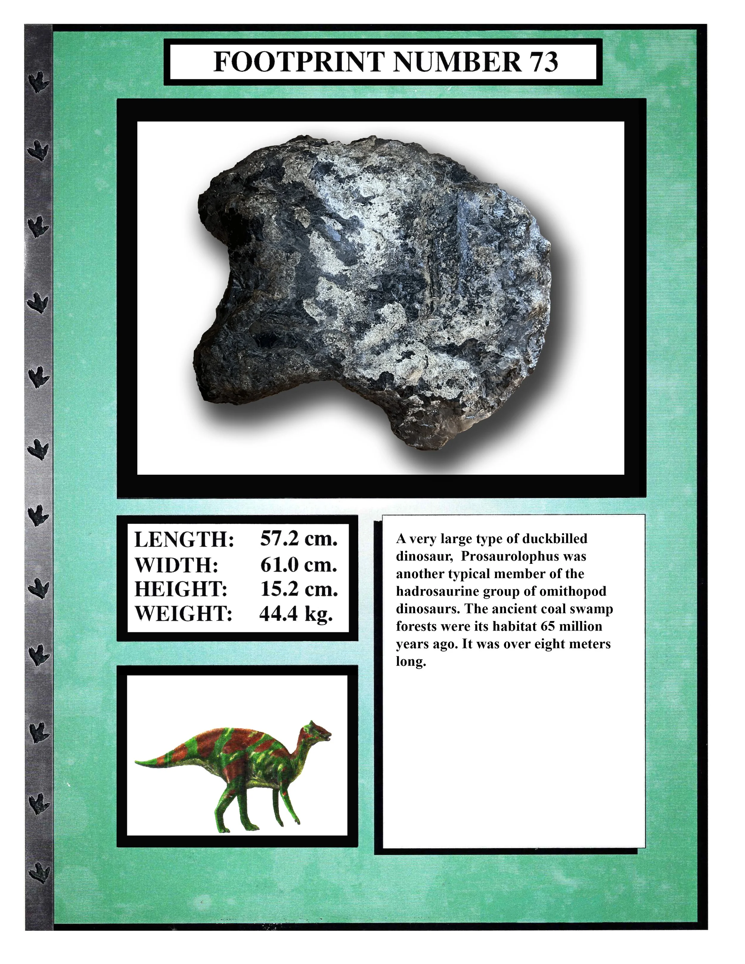 Prosaurolophus #73