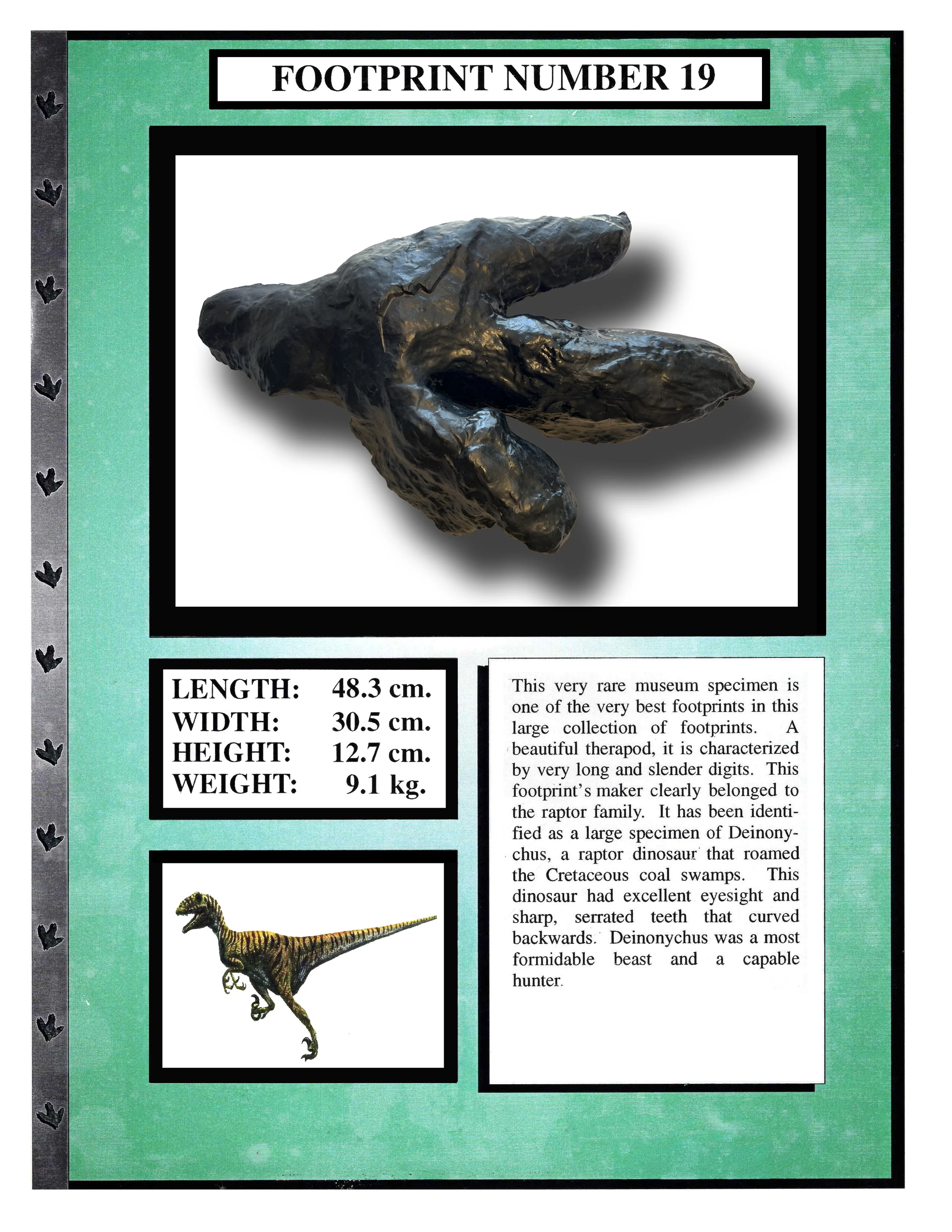 Deinonychus #19