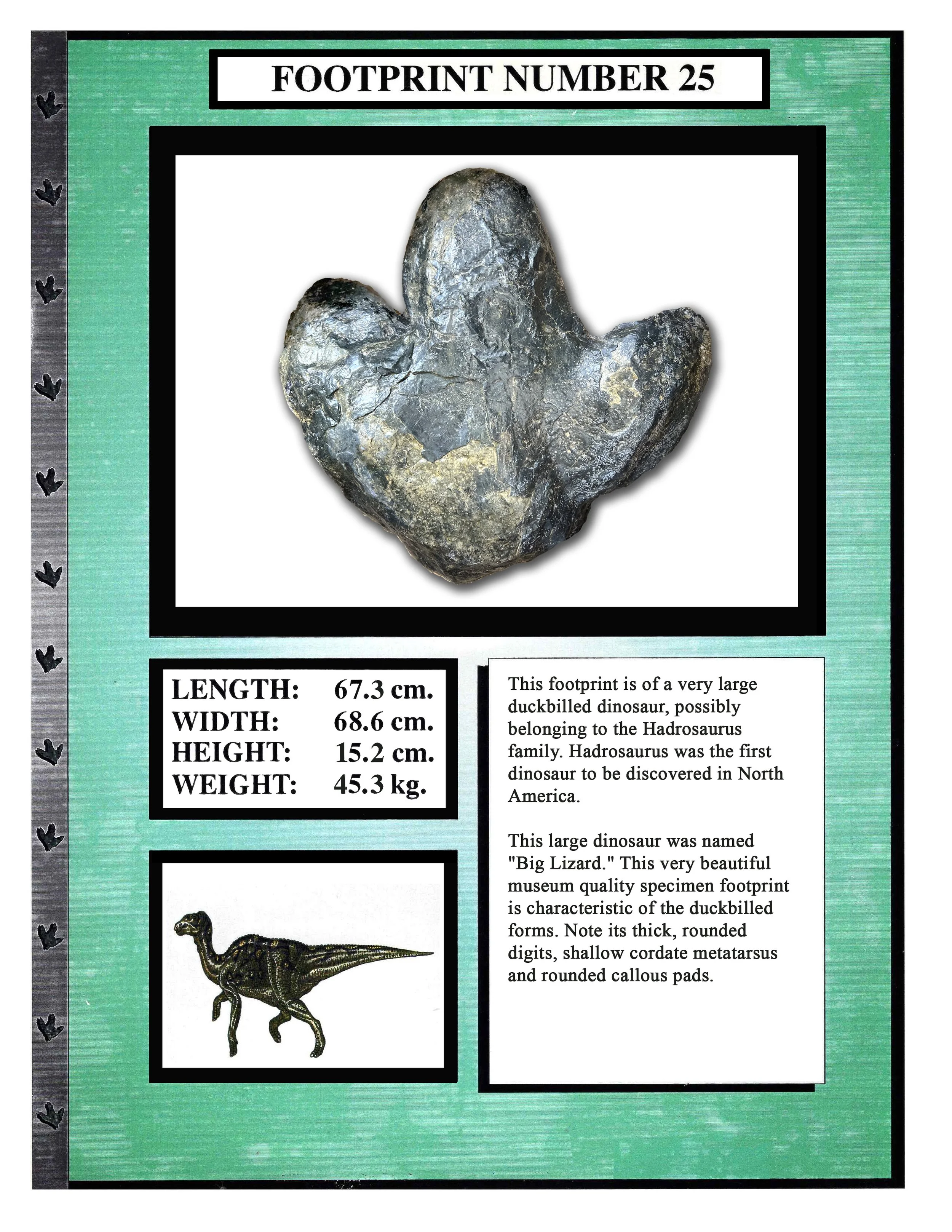 Hadrosaurus #25