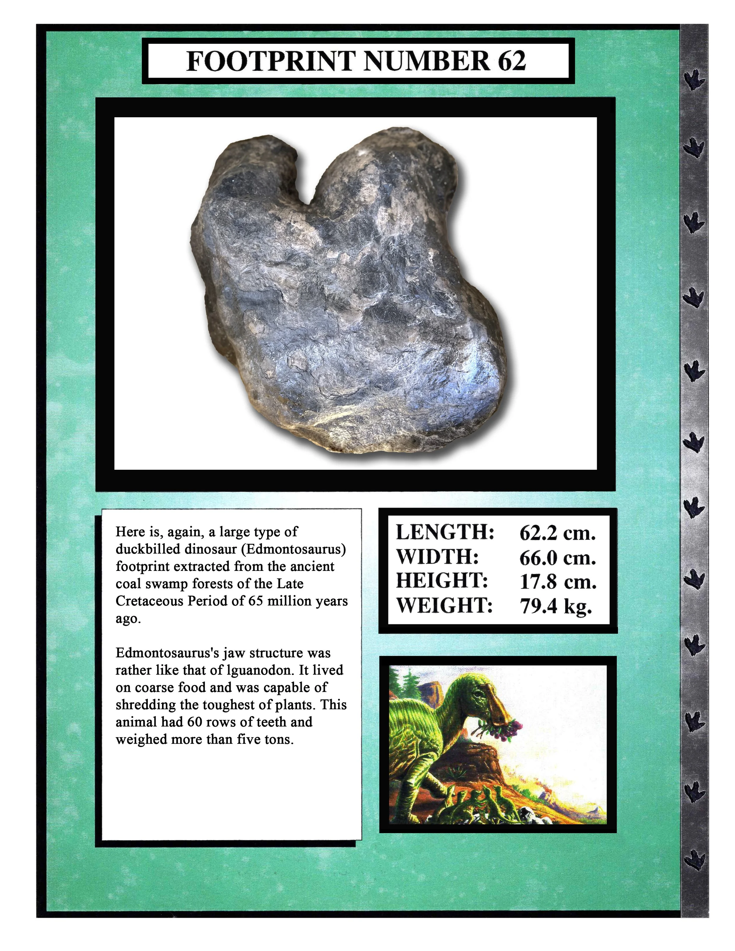 Edmontosaurus #62