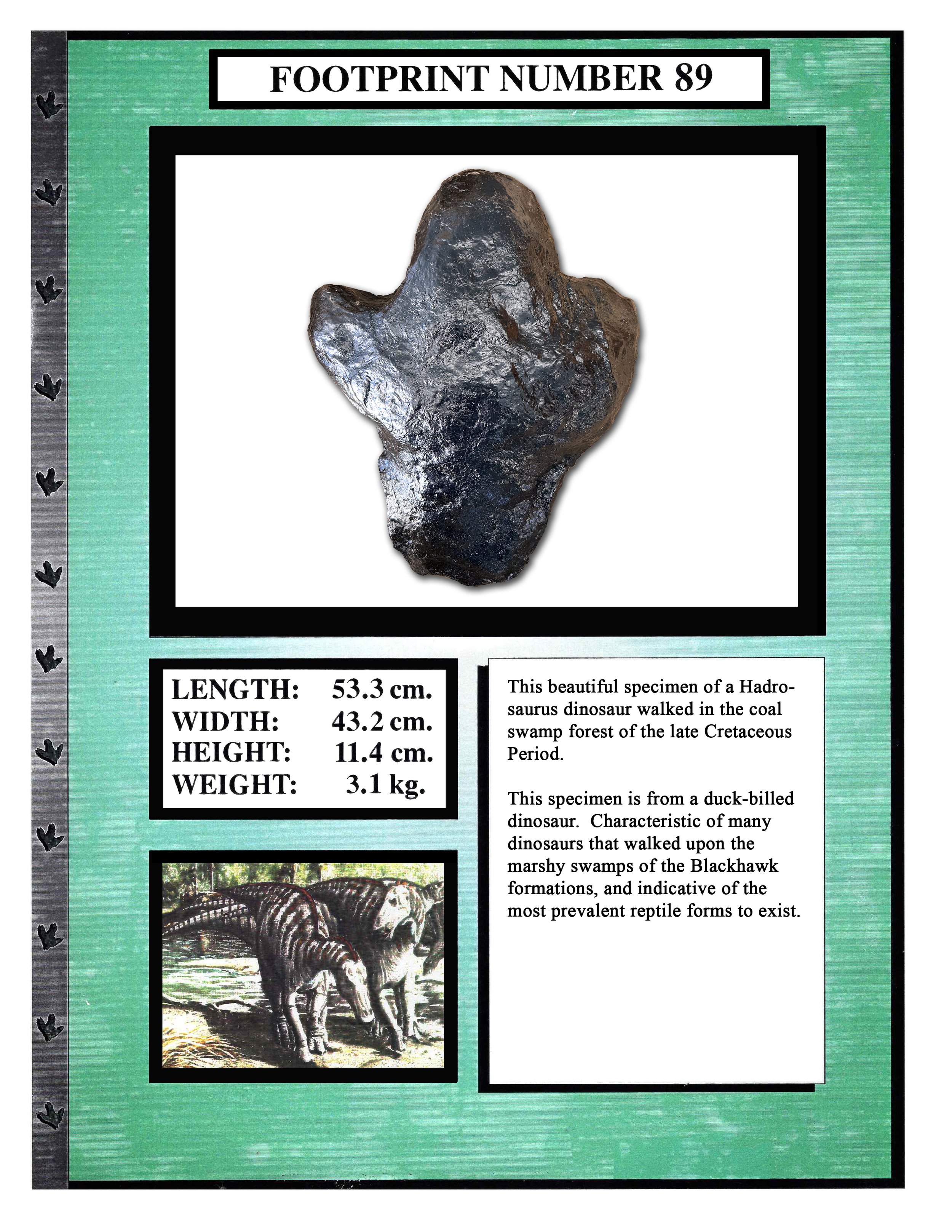 Hadrosaurus #89
