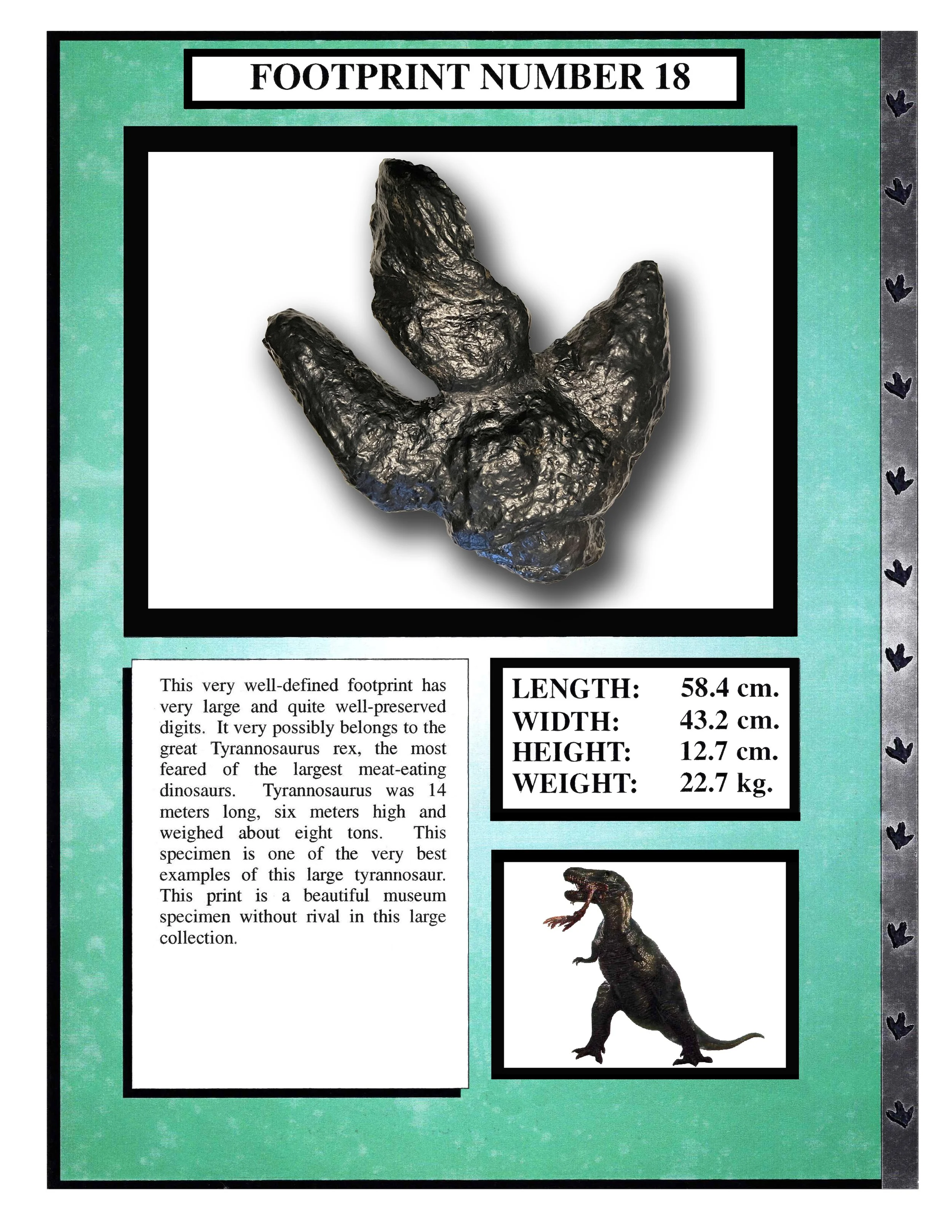 Tyrannosaurus #18