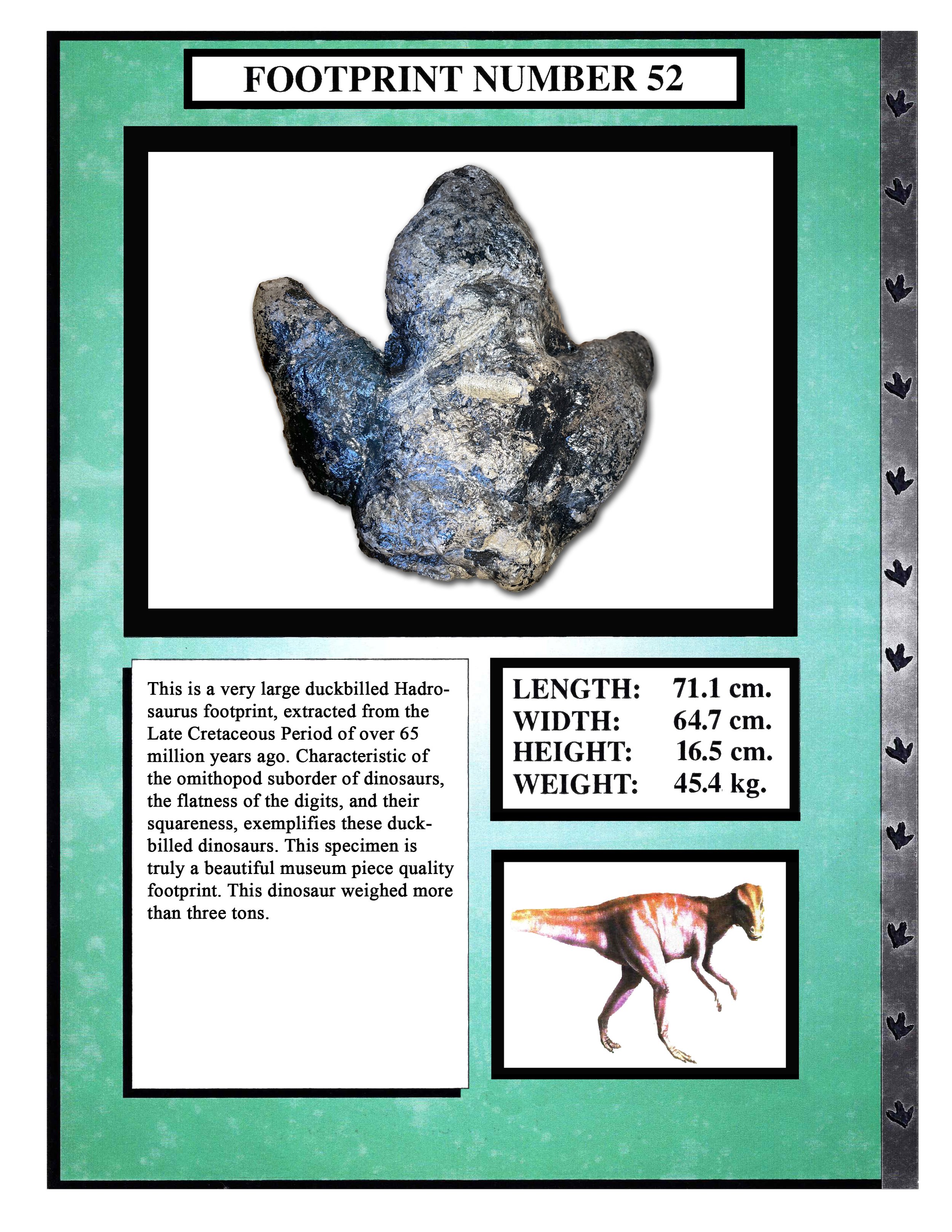 Hadrosaurus #52