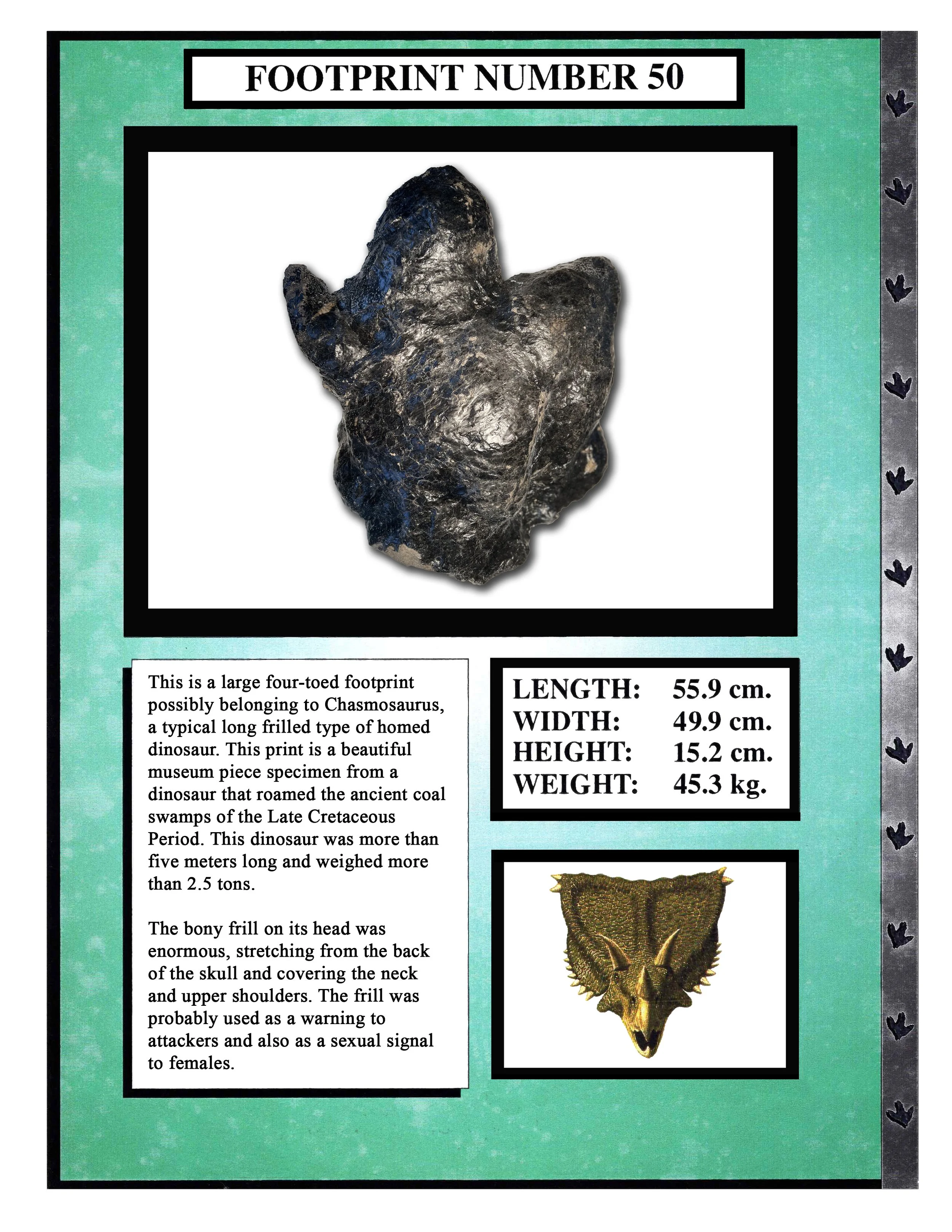 Chasmosaurus #50