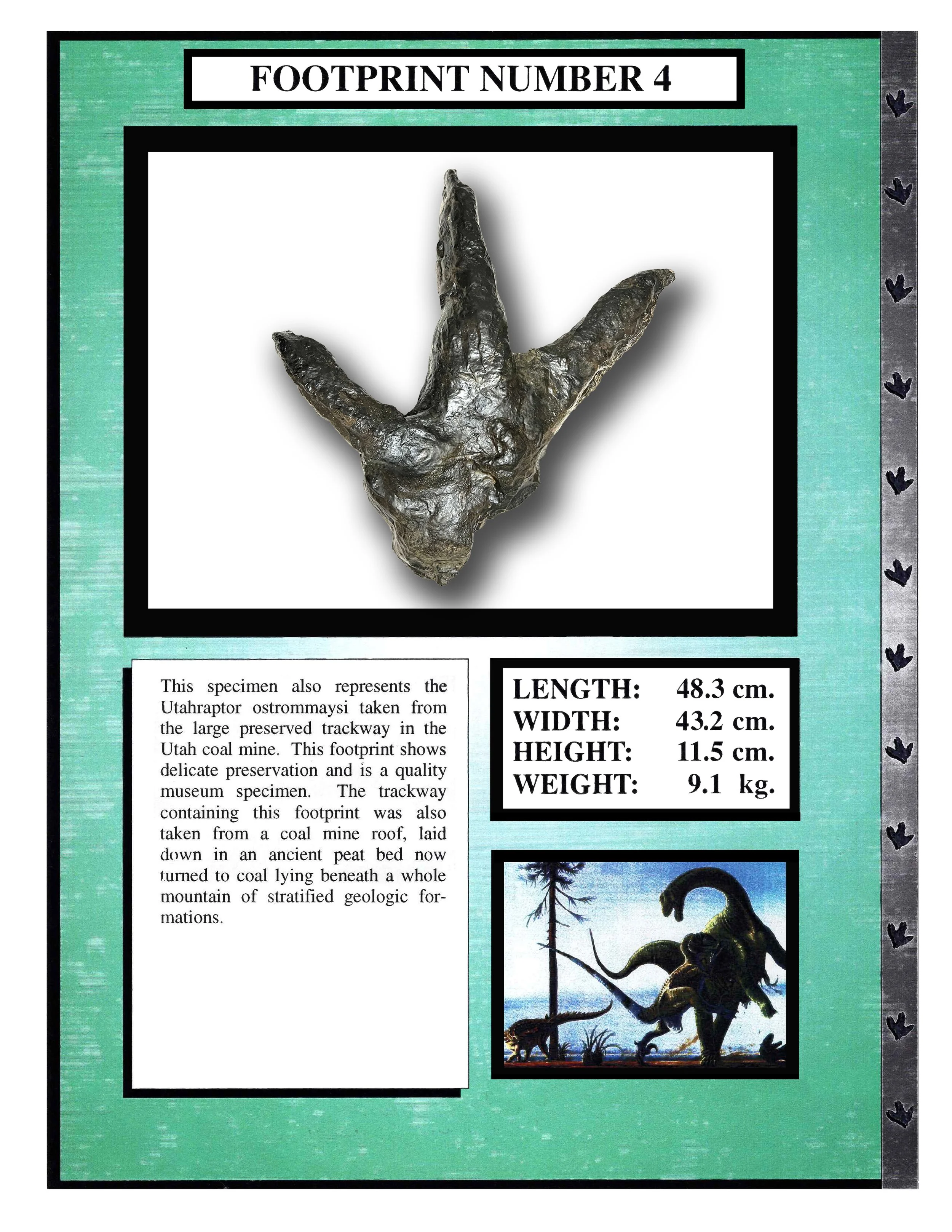 Utahraptor #4