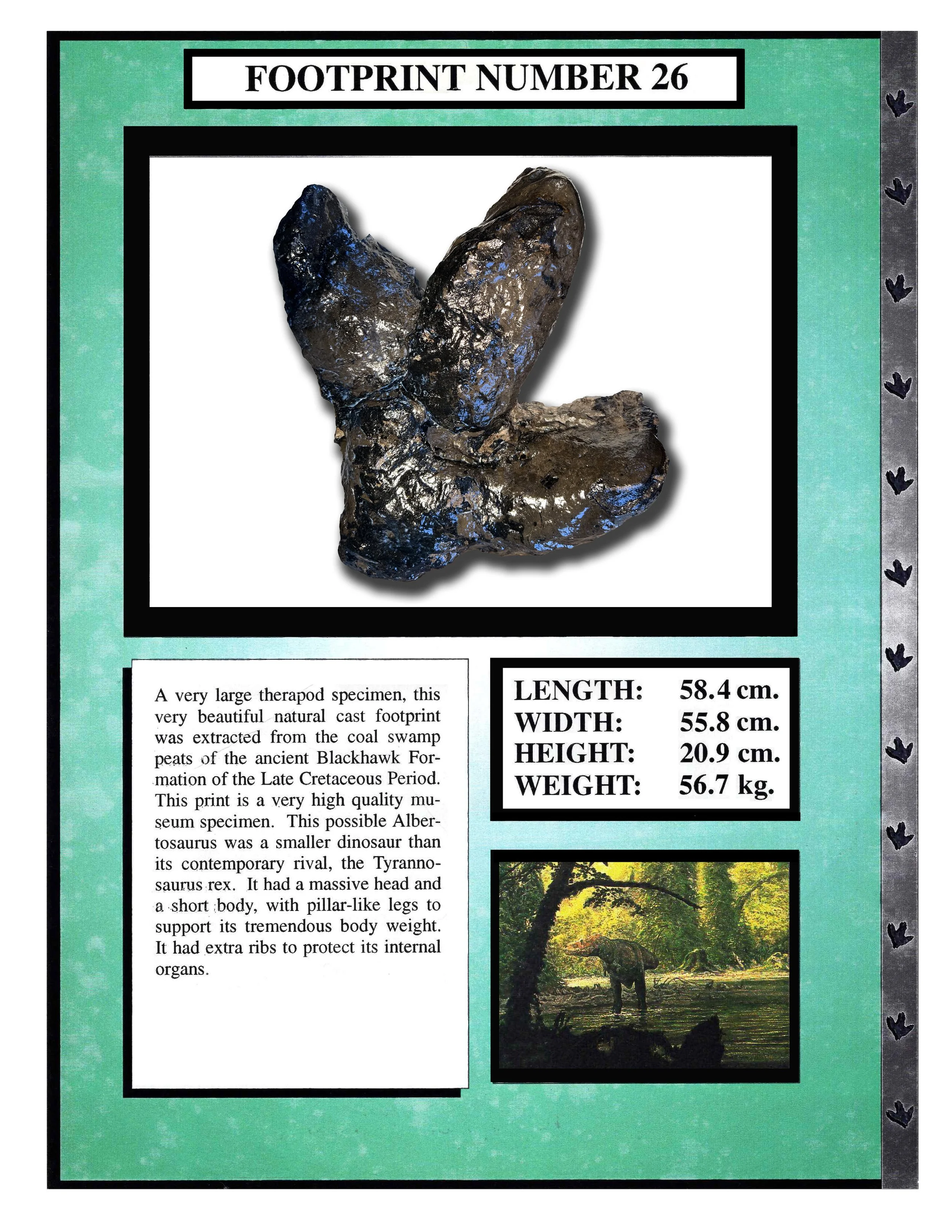 Albertosaurus #26
