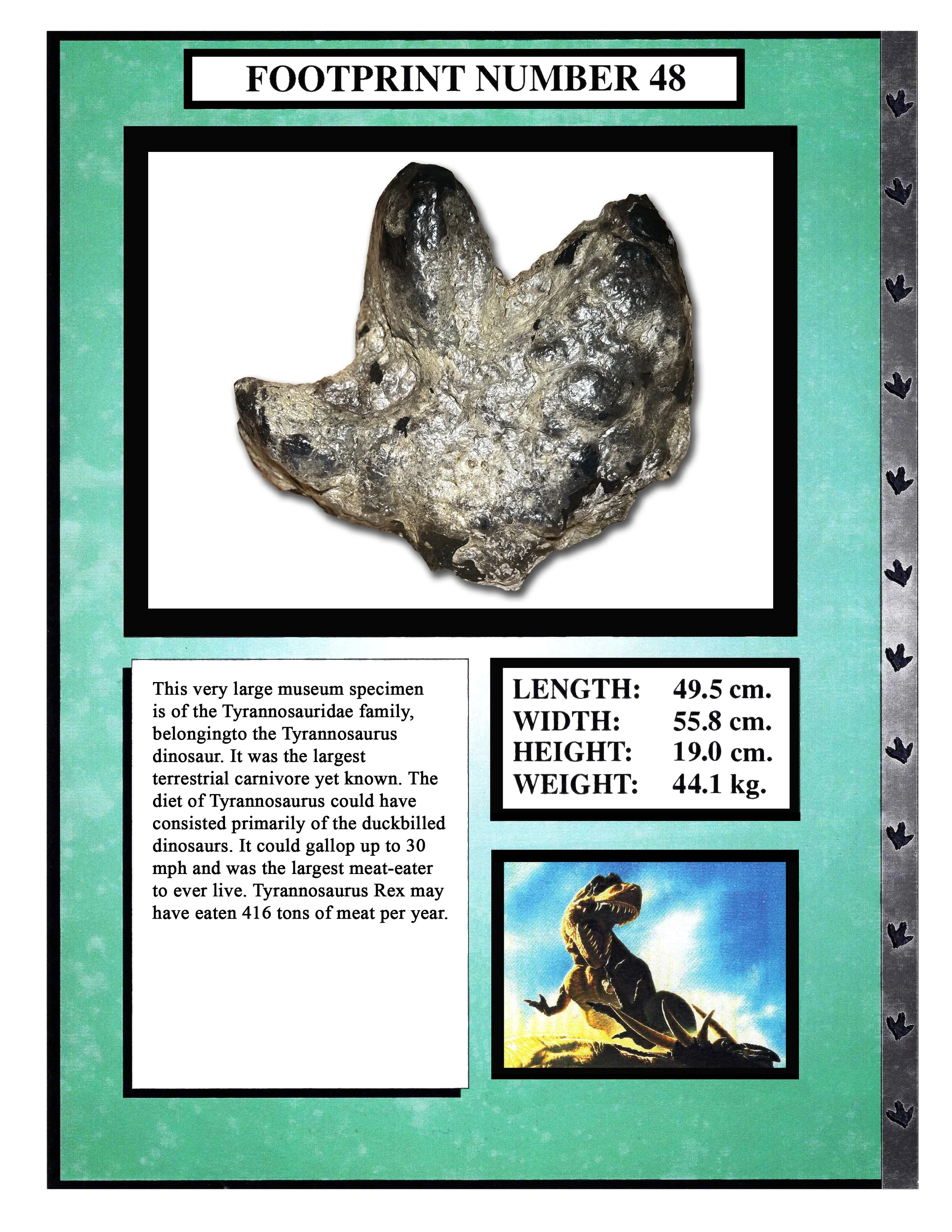 Tyrannasaurus #48