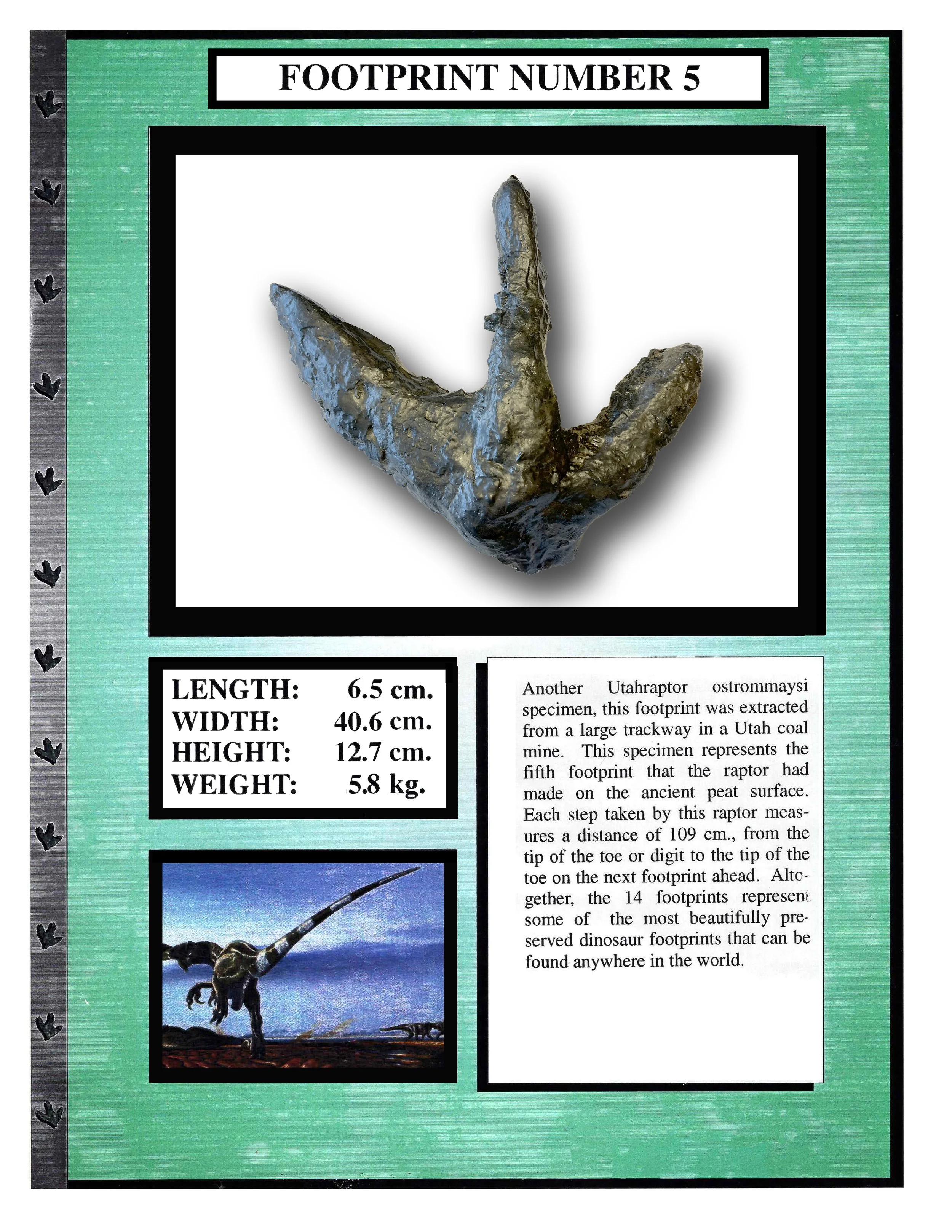Utahraptor #5