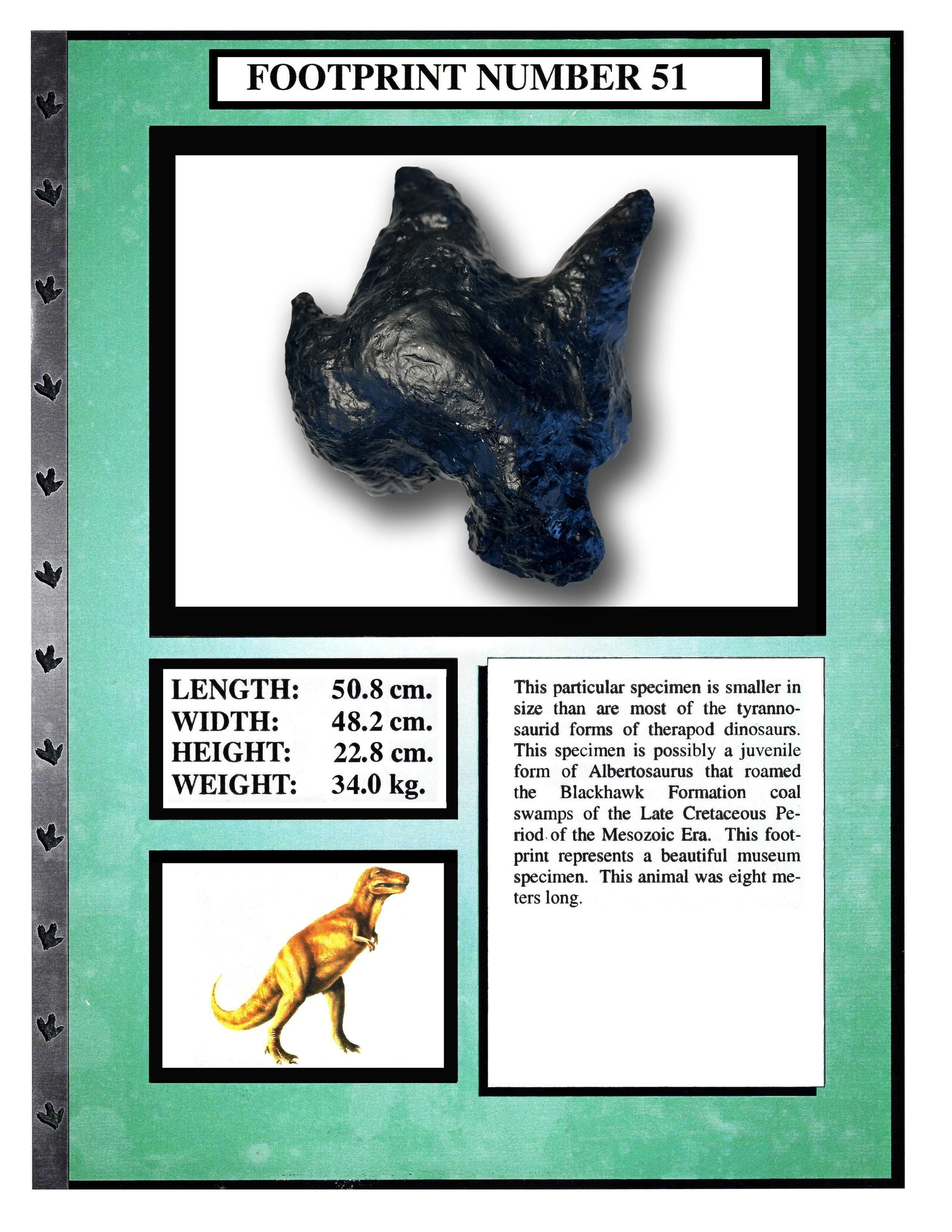 Albertosaurus #51