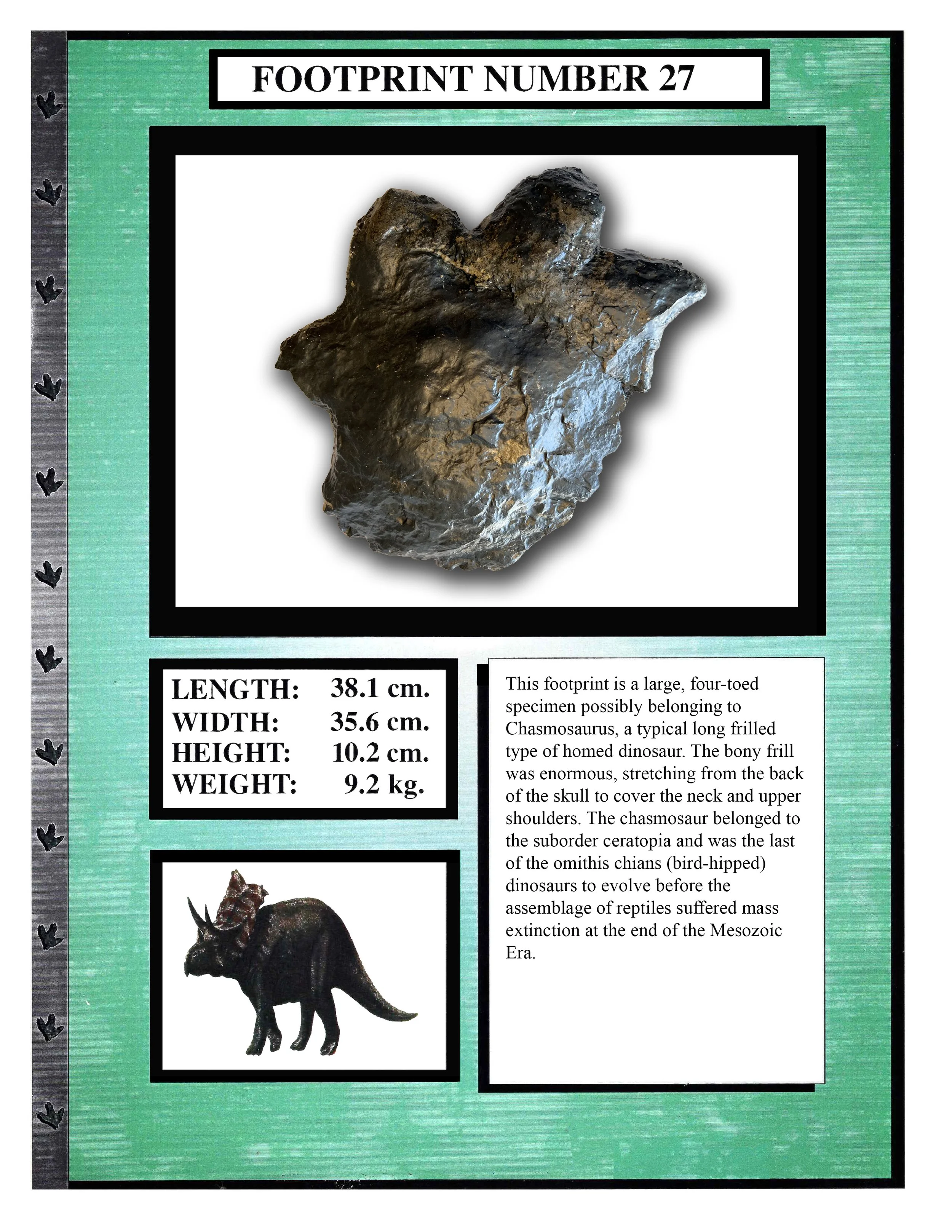 Chasmosaurus #27