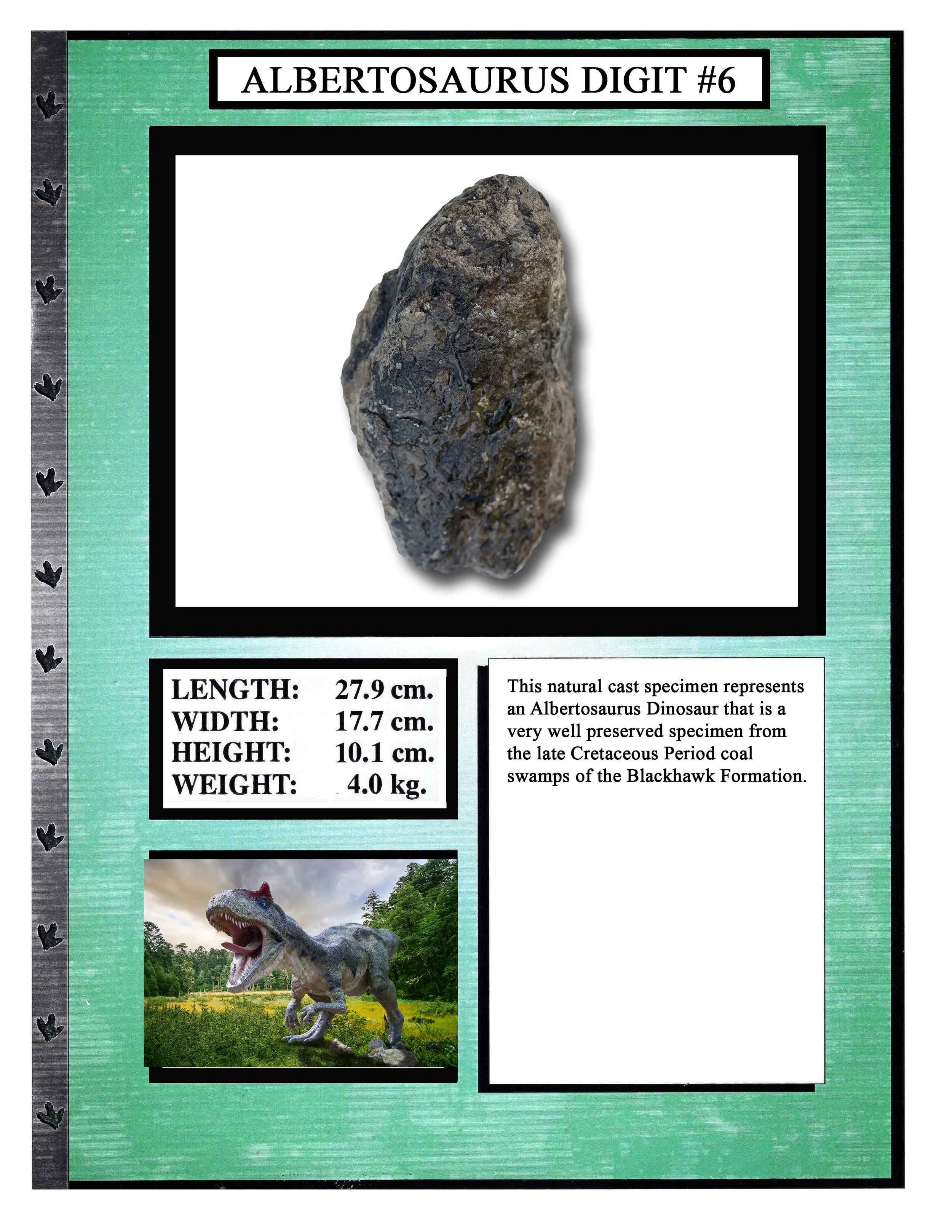 Albertosaurus Digit #6