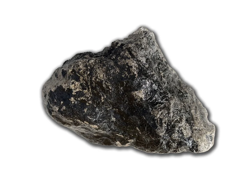 Albertosaurs Digit #2
