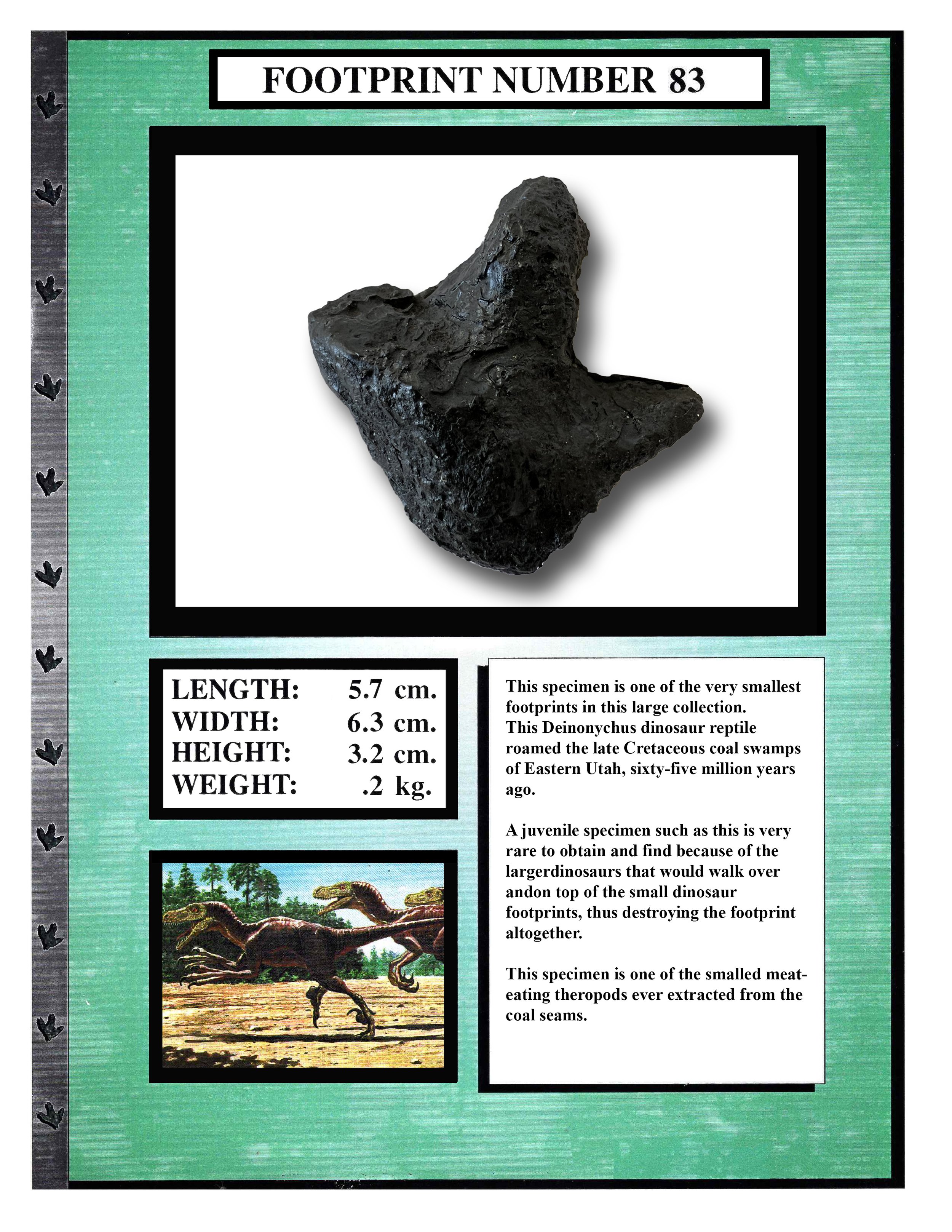 Deinonychus #83