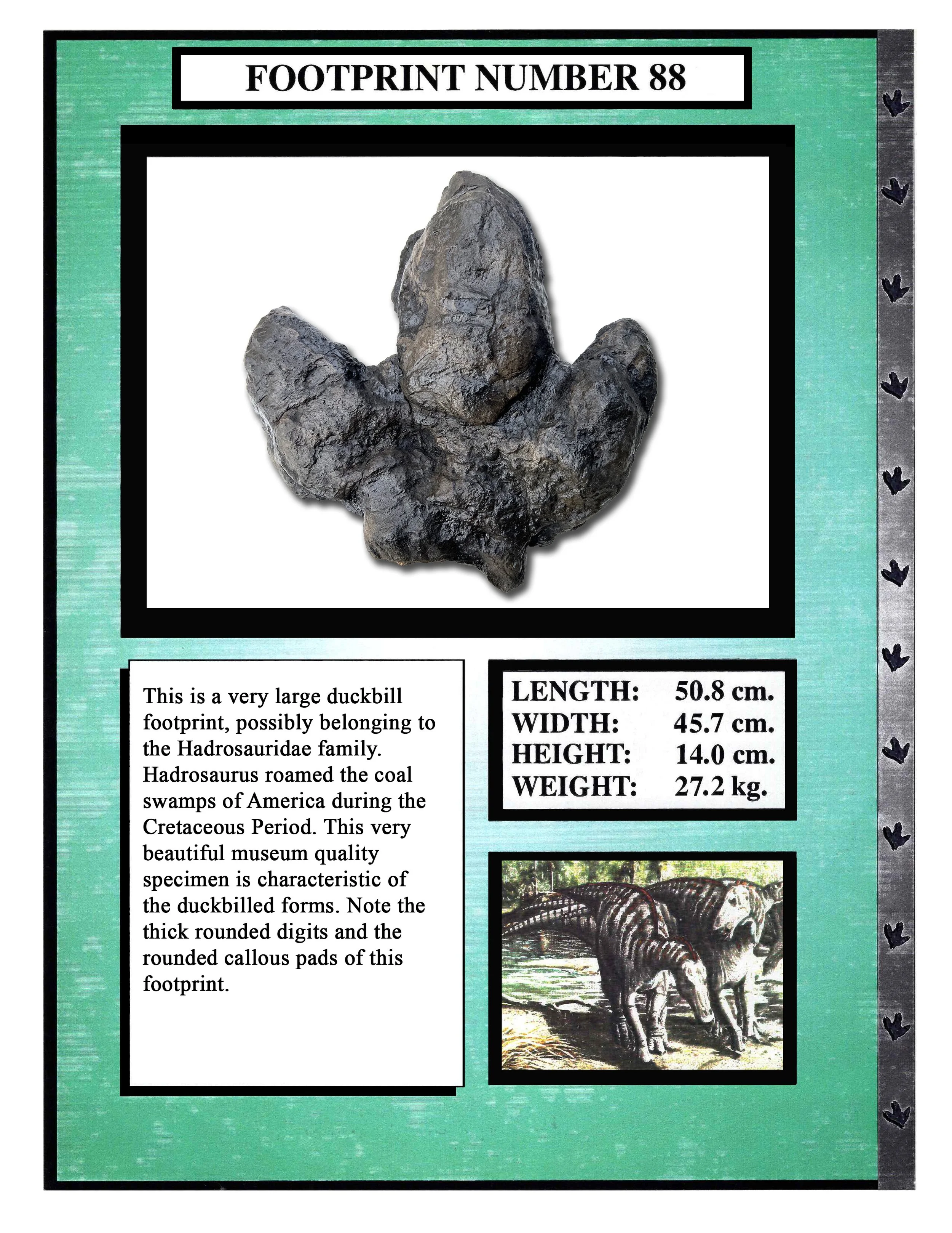 Hadrosaurus #88
