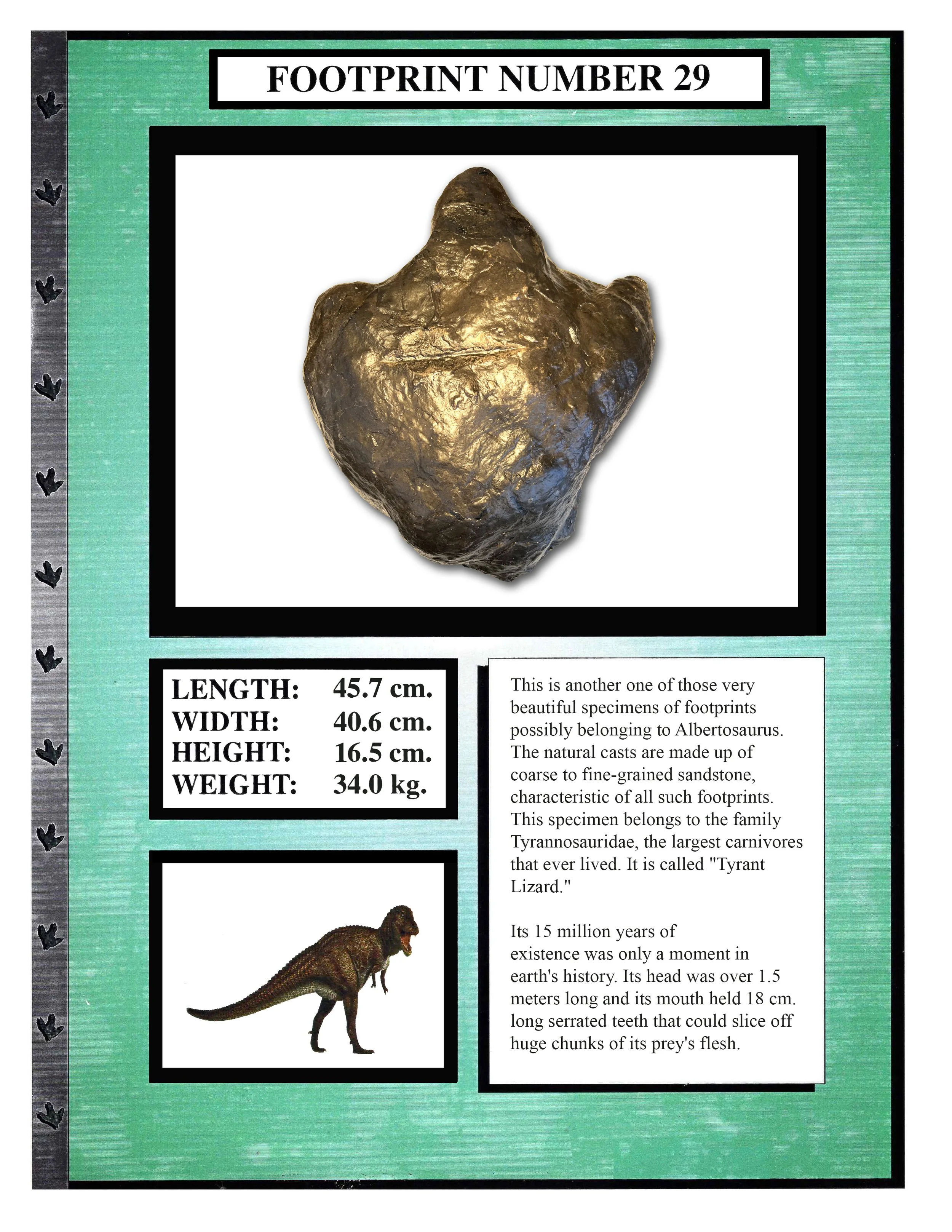 Albertosaurus #29